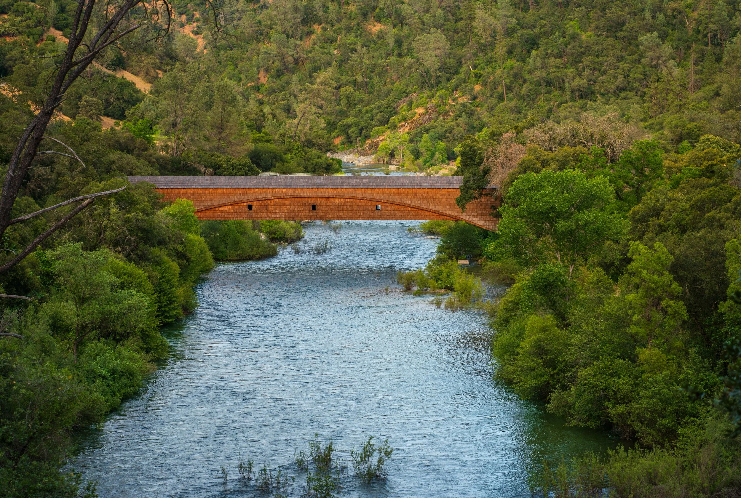 The Bridge that Carried the Gold Rush