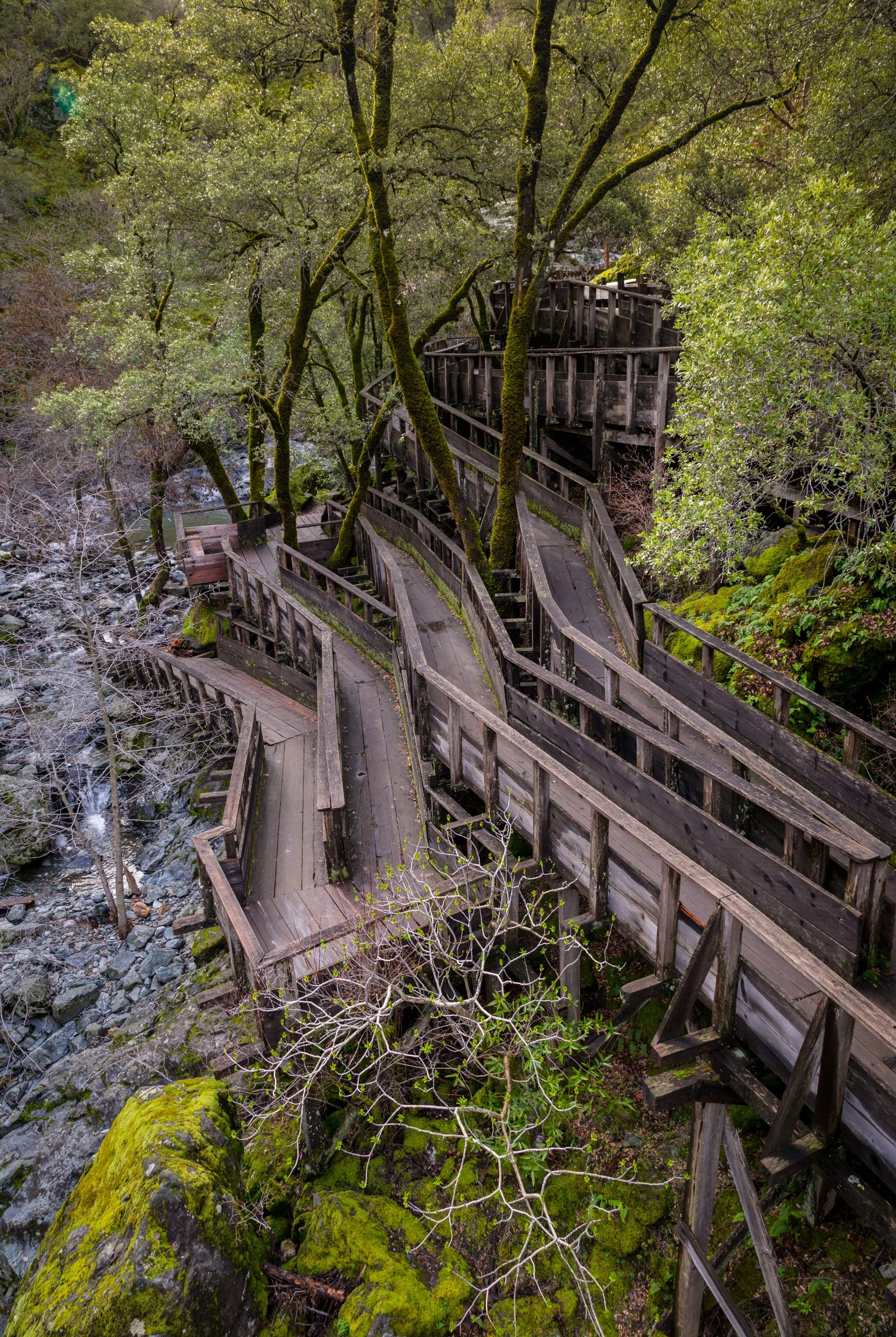 The Trail That Changed Access to Wilderness