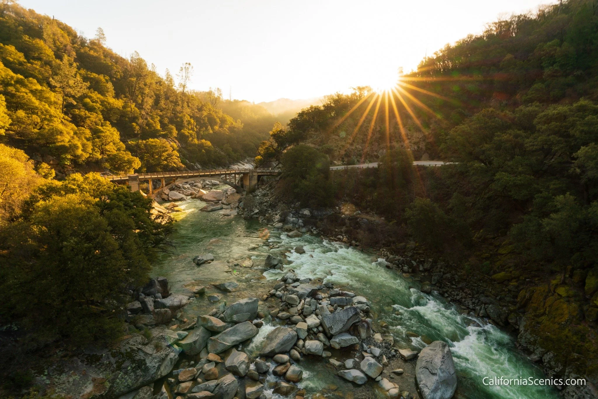 Magical morning light.