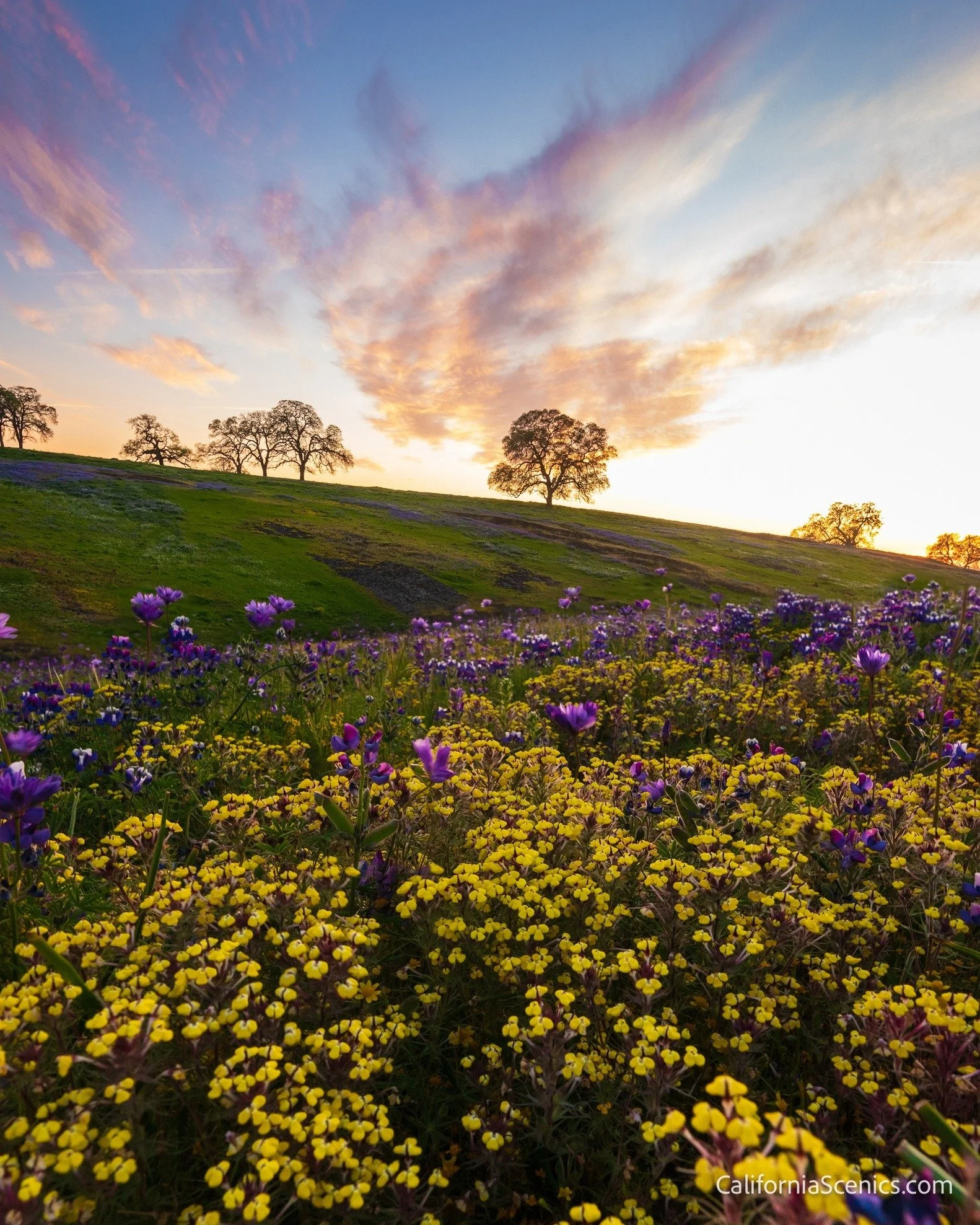 Search, and you shall find.