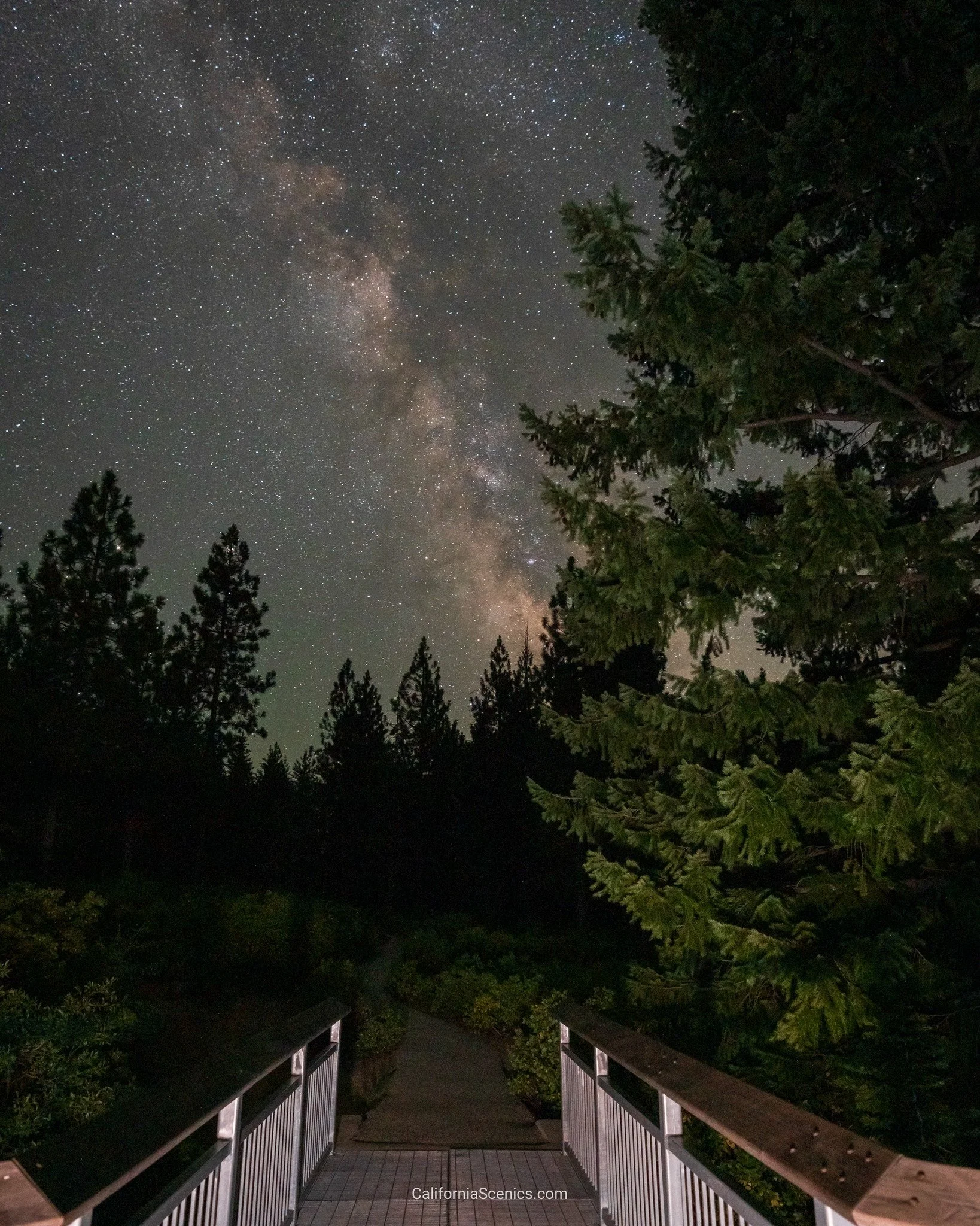 Look up. Omega Diggins Overlook Trail.