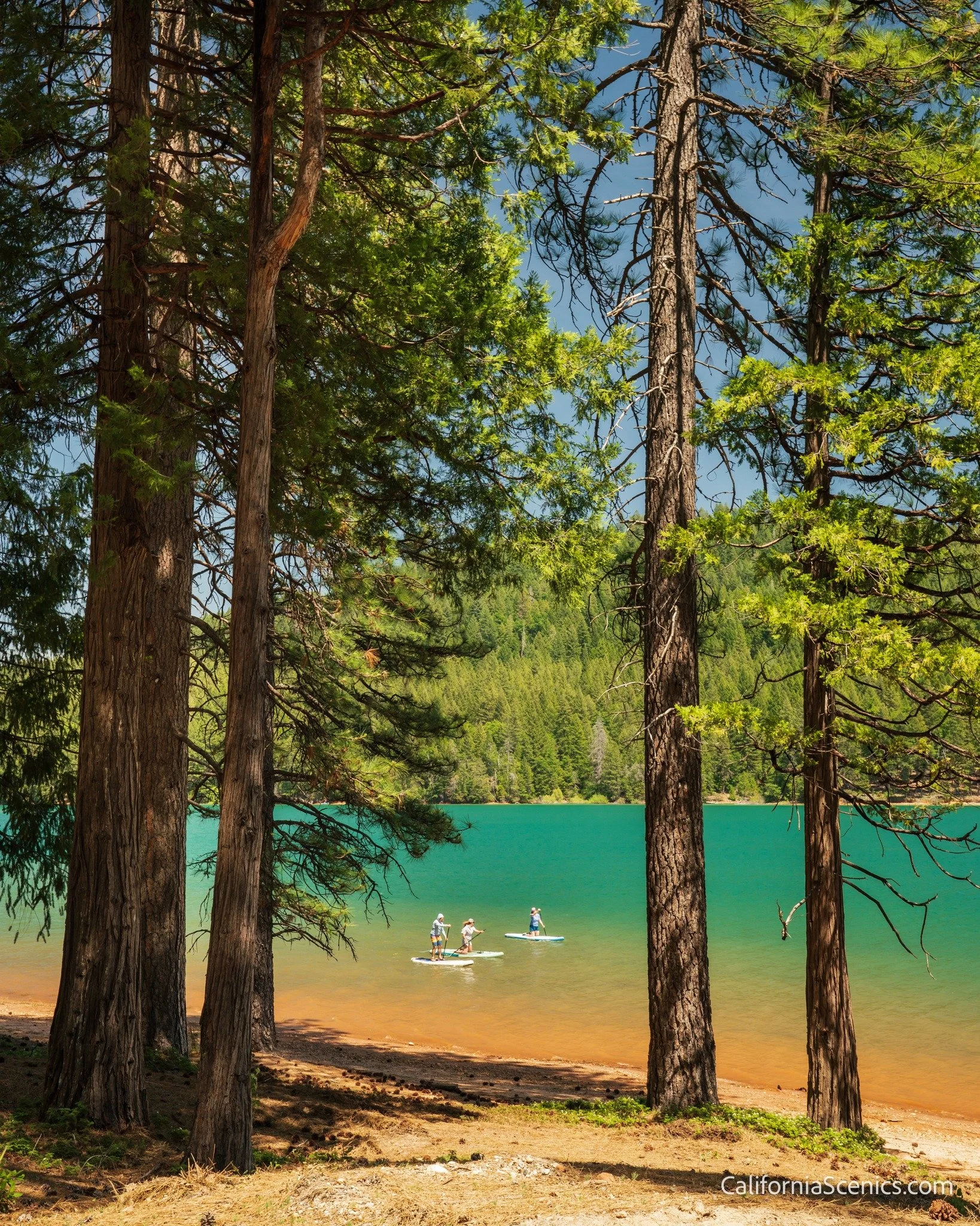 While the Yuba is still running high and mighty, just a few miles from downtown Nevada City, Scotts Flat Lake feels a world away.