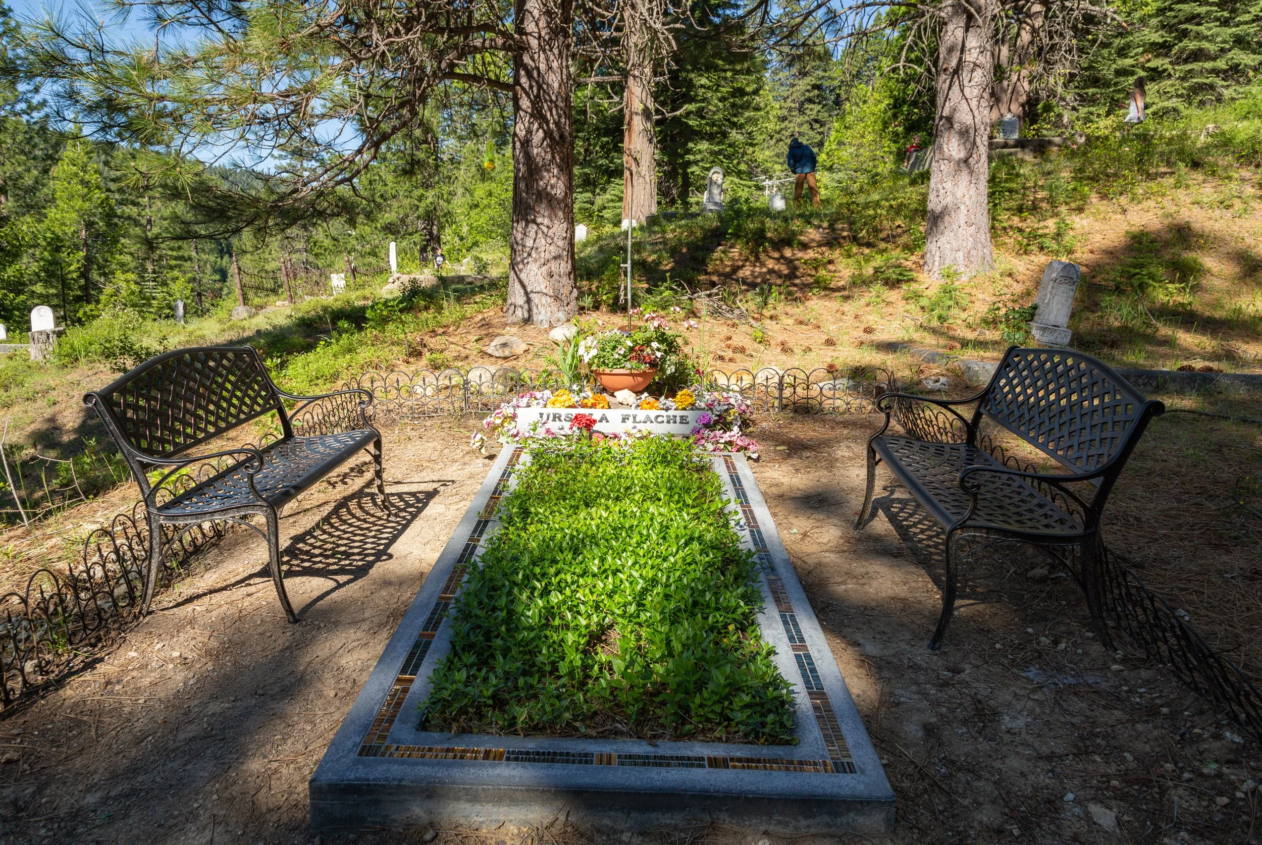 ForestCity-0960.jpg