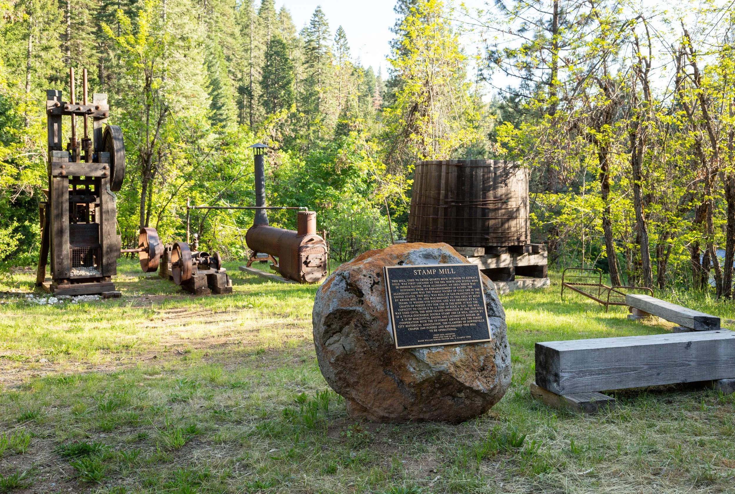 ForestCity-0882.jpg