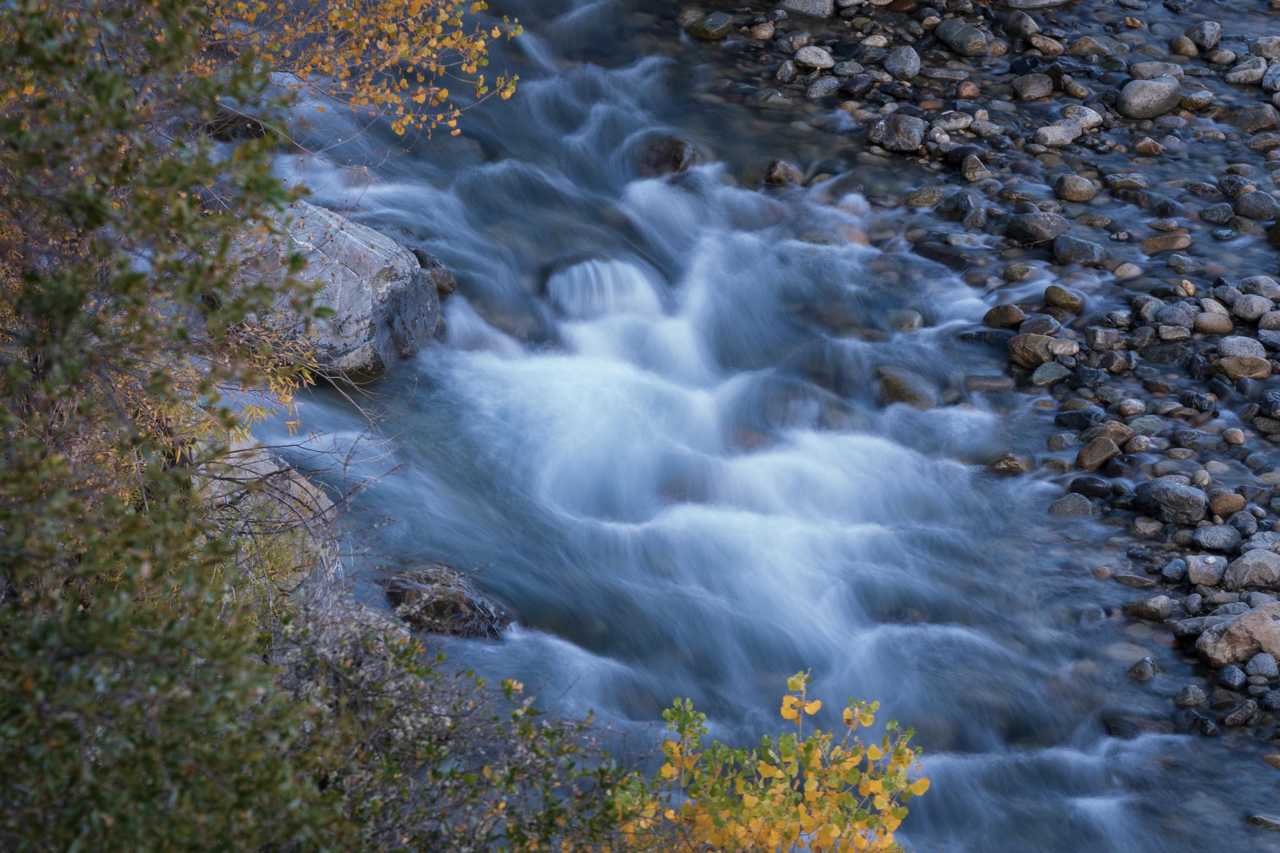 Summer Scenes of Nevada County