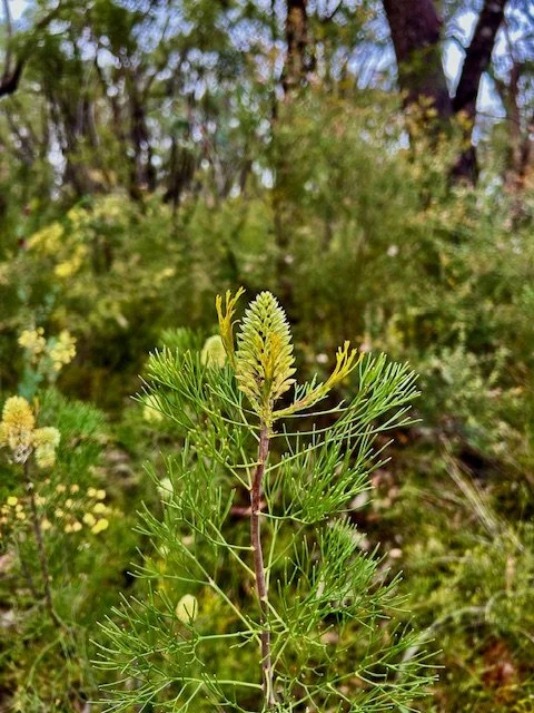 Losing a dear friend