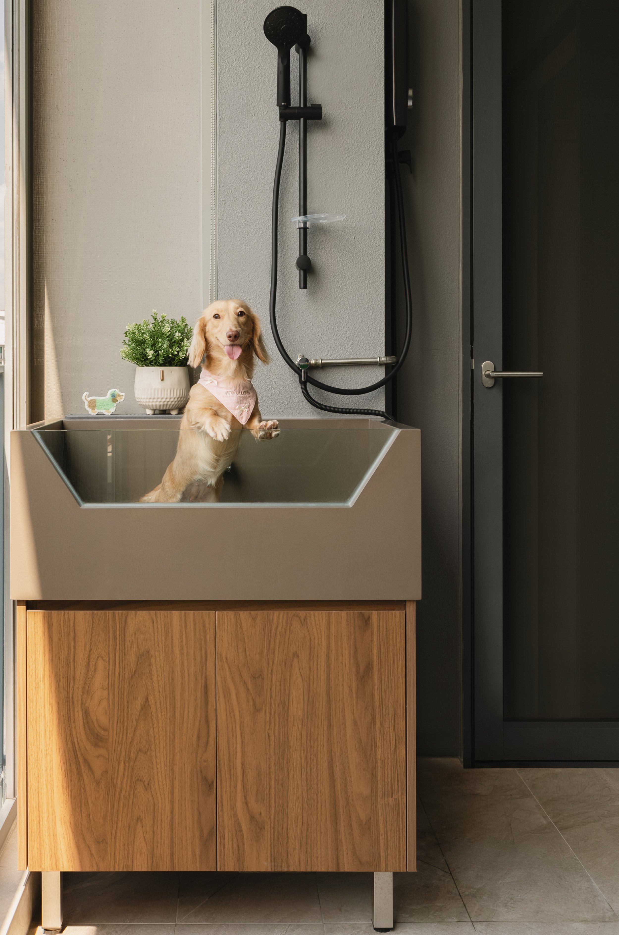 Kinoko_Spaces_Credit_Kinoko_Spaces_Pte_Ltd_01.jpg