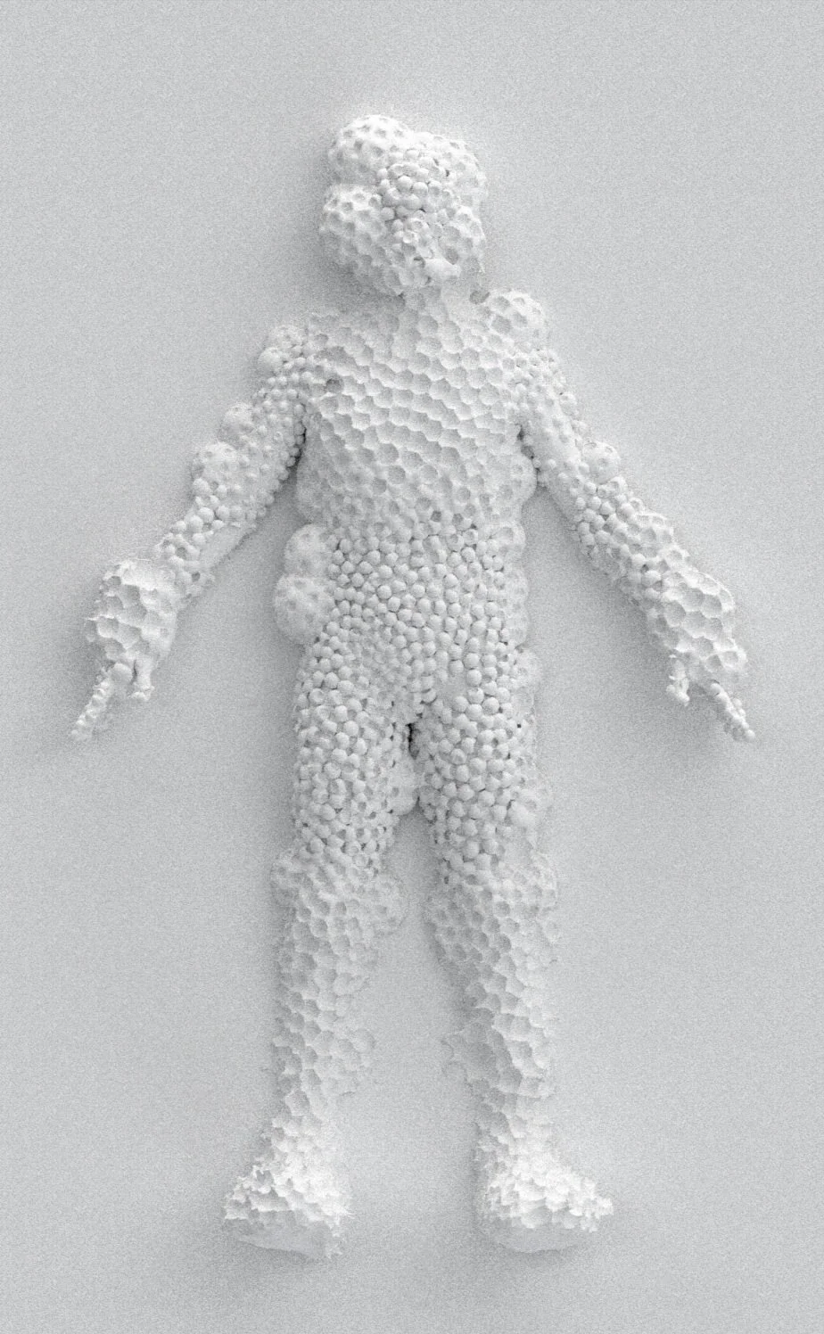 Hotmunculus