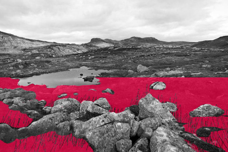 Norwegian Scenic Routes