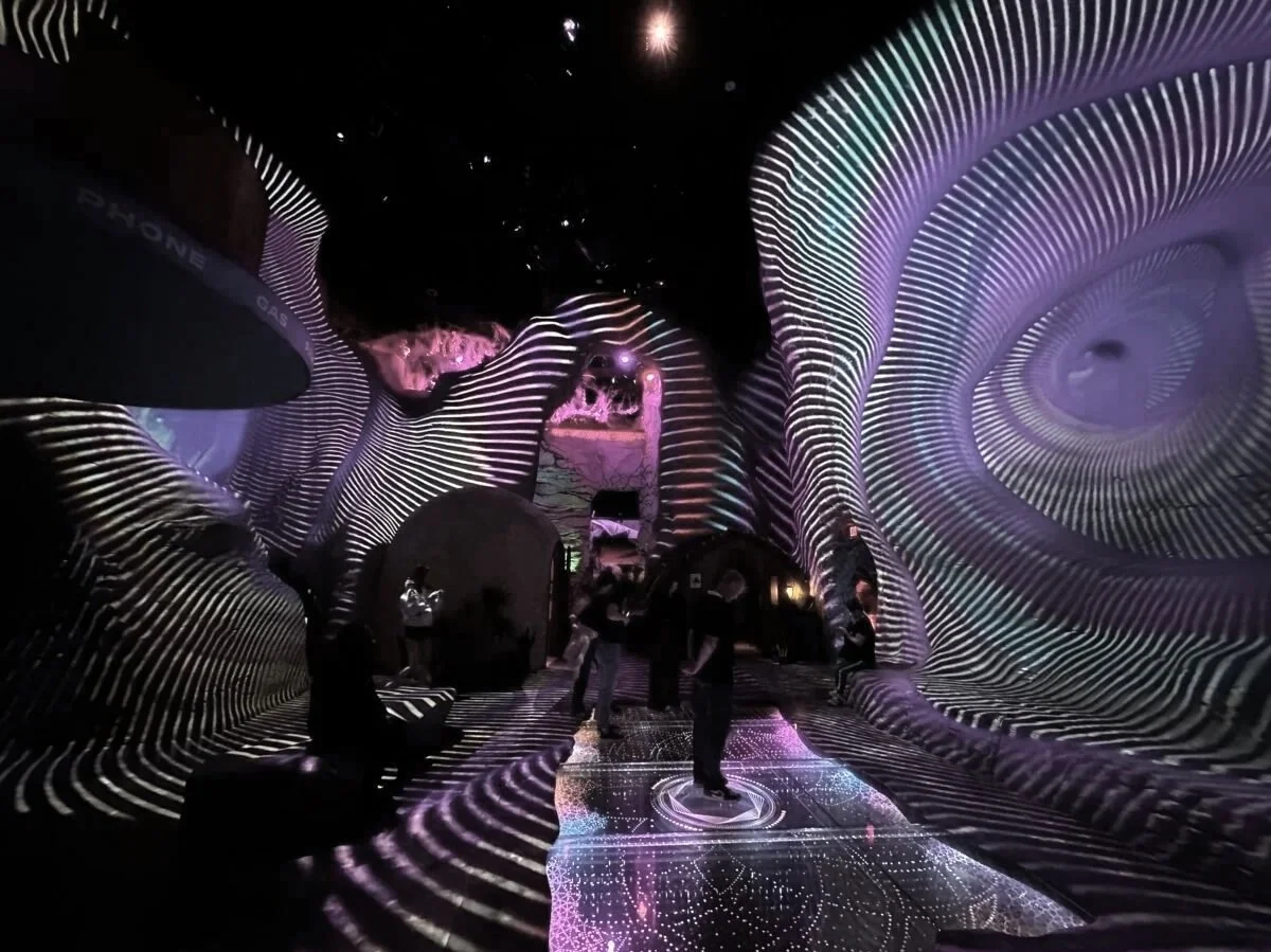 Meow Wolf Las Vegas