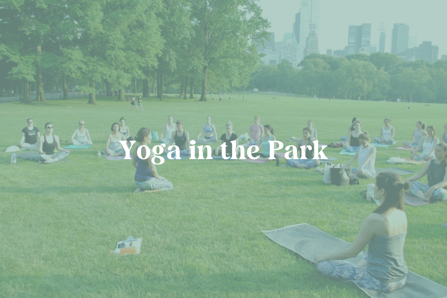 Yoga in the Park 