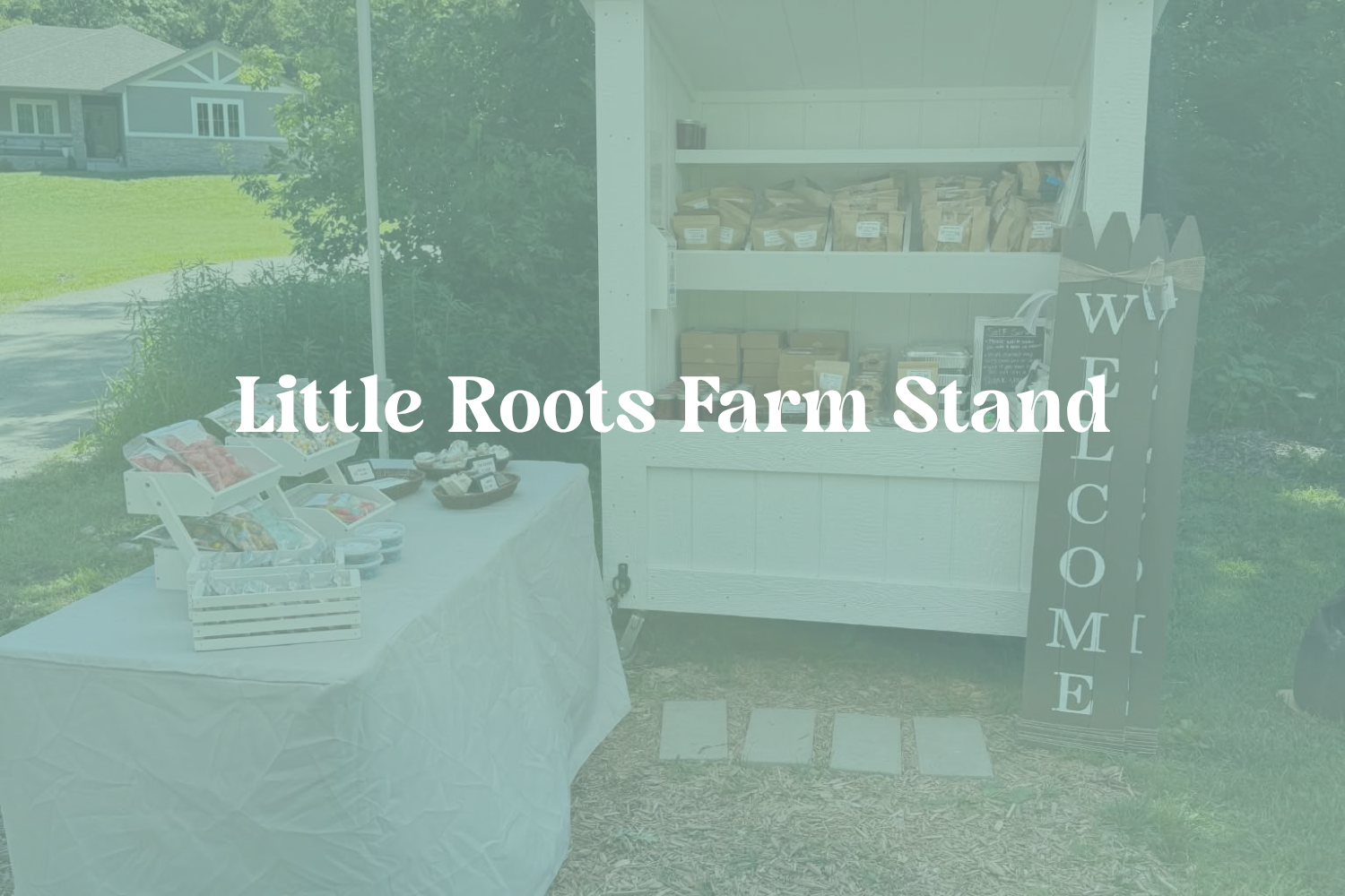 Little Roots Farm Stand