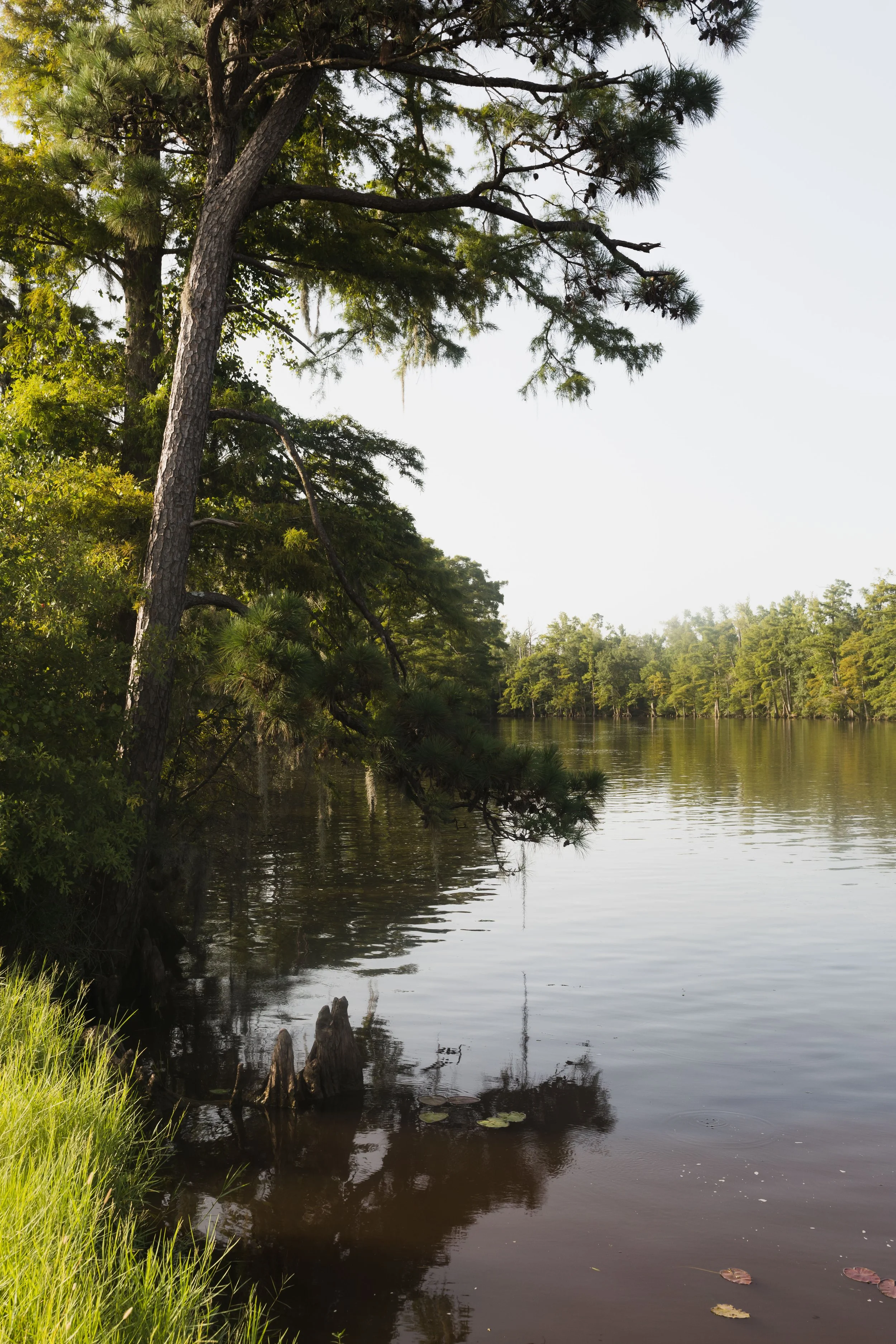 riverside southwest louisiana fishing kayaking glamping near lake charles camping.jpg