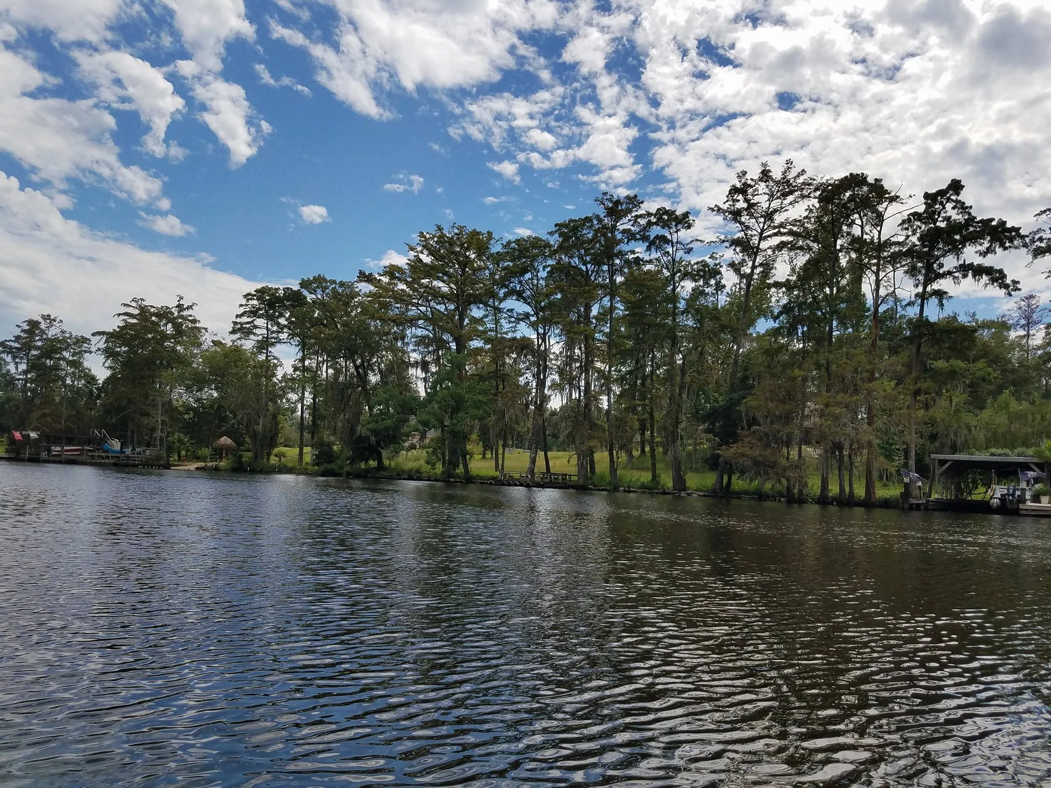 View of river side, cypress tress from kayak rental with Bayou Glamping Co in Southwest Louisiana near Lake Charles. Calm water with light waves.