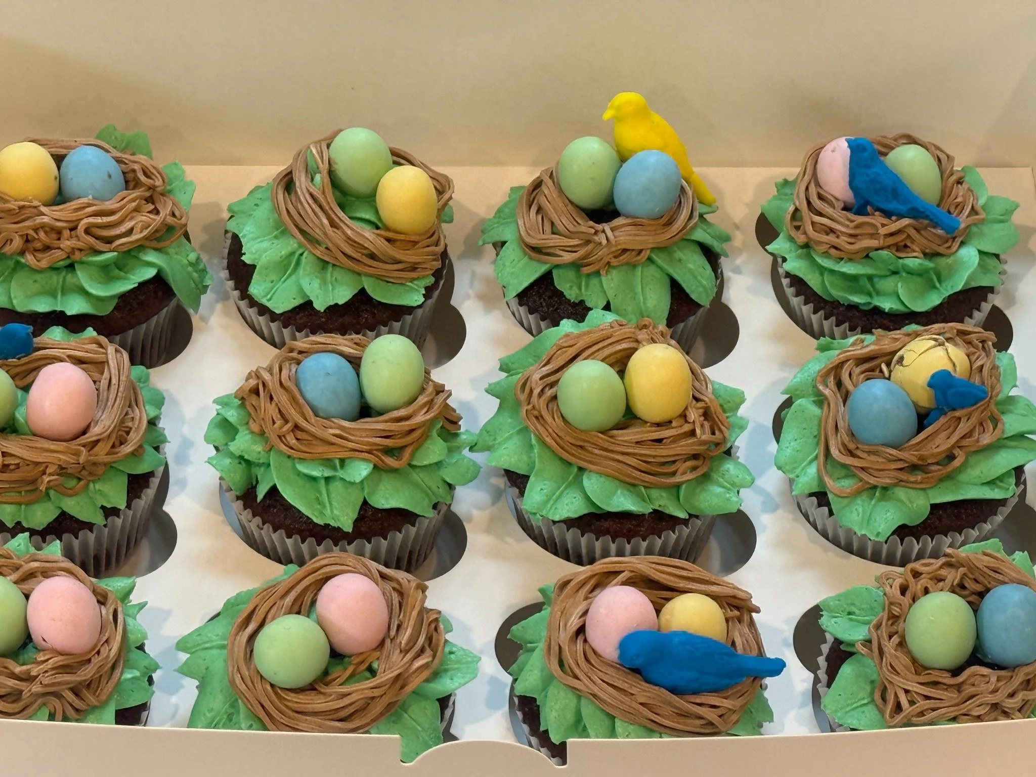 Bird-nest cupcakes with pastel eggs, little birds, and green buttercream leaves. A past custom design for inspiration.
