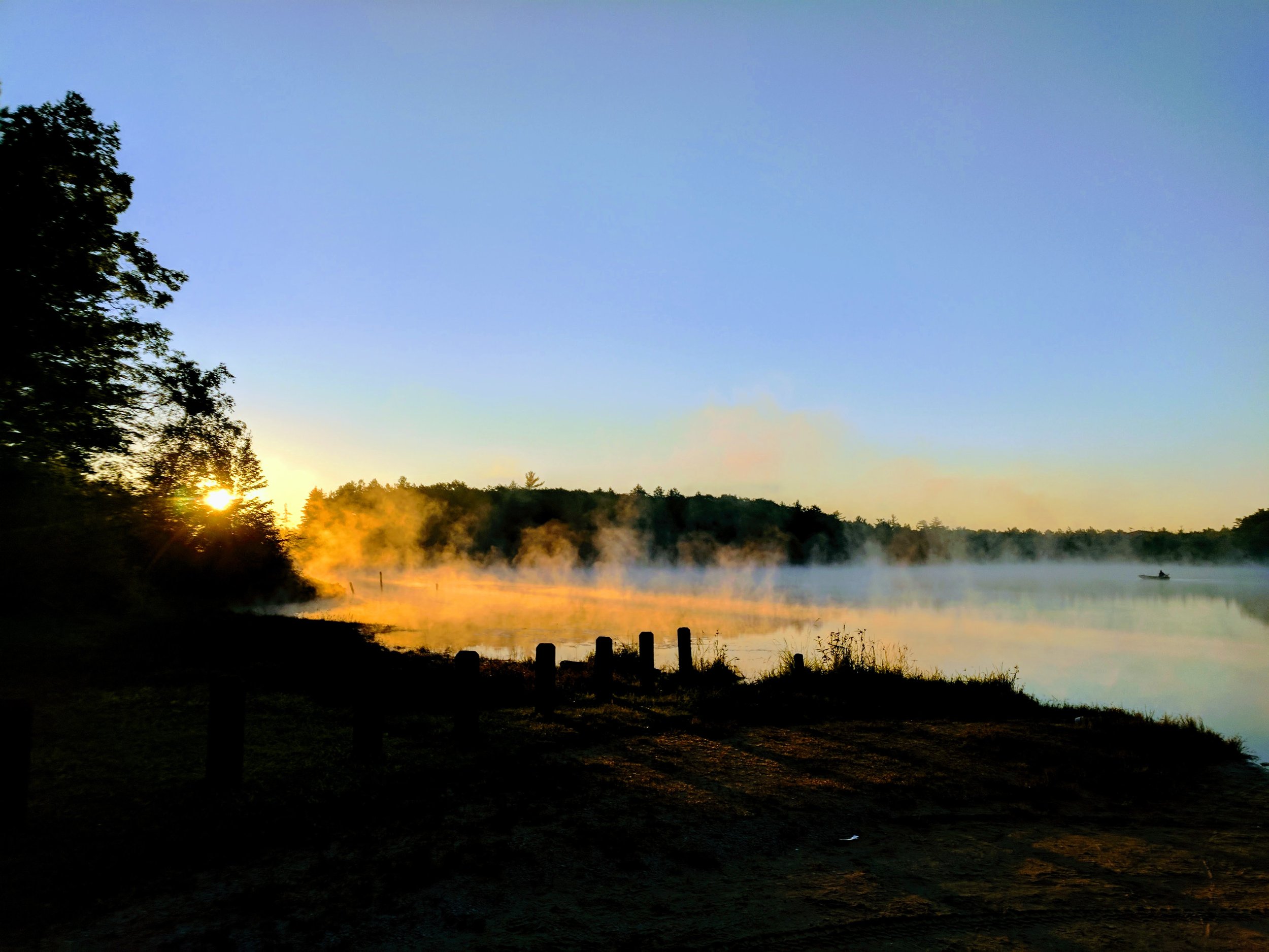 Foggy Pond.jpg