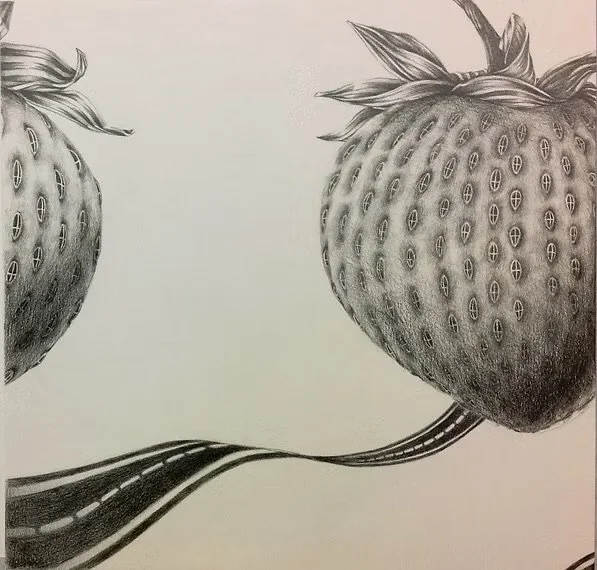 Strawberry Hotel
2014 | Graphite on Bristol.