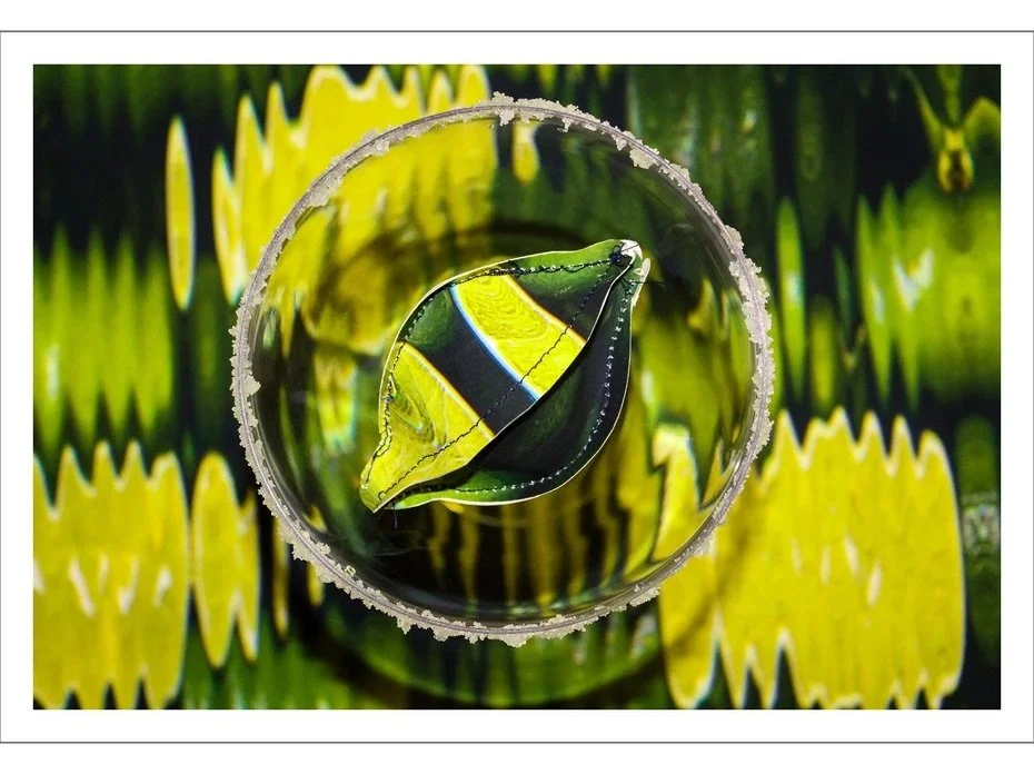 Lime Mixer
2017| Digital Image