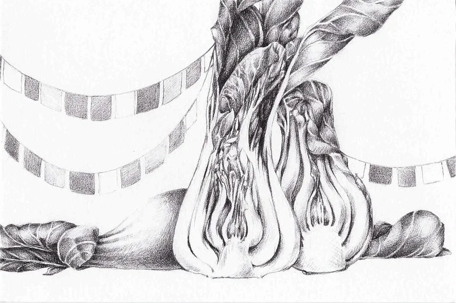 Bokchoy Shrine
2014 | 4"x 6" | Graphite on bristol.