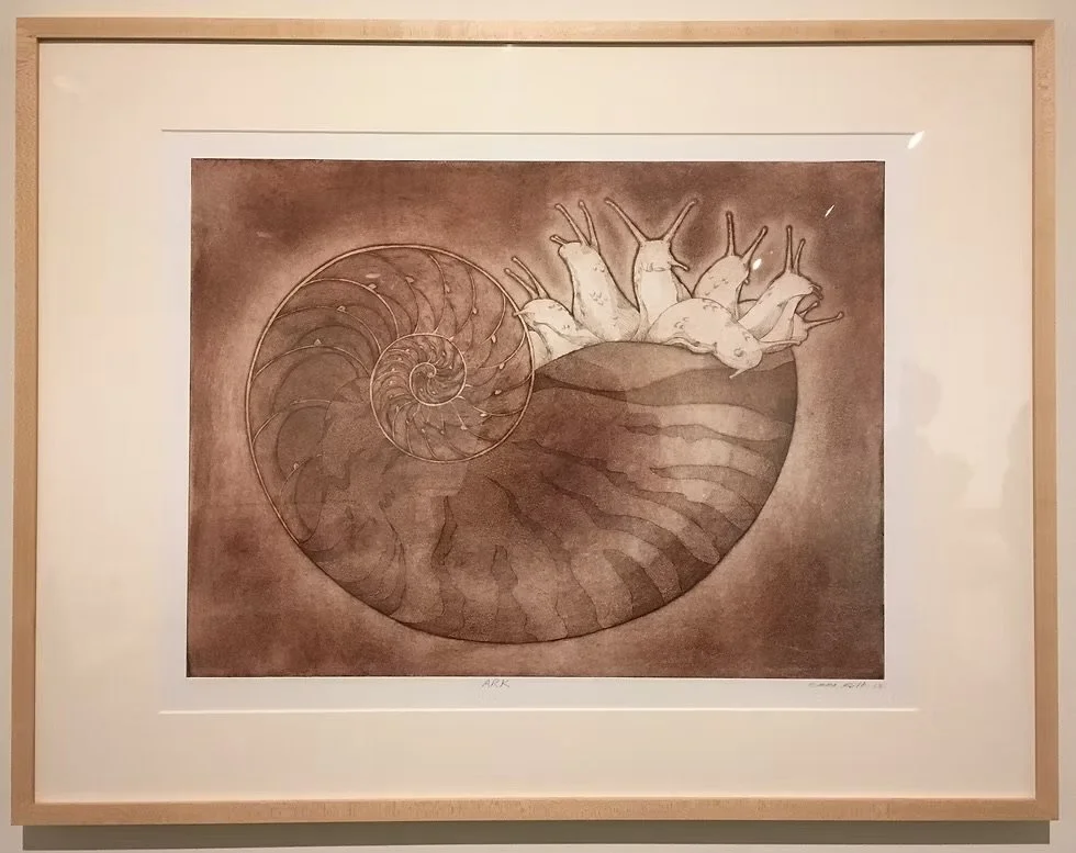 Ark
2018 | Etching and Aquatint
Edition set size: 7