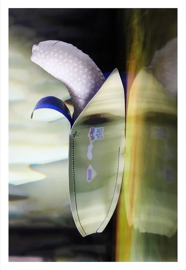 Bananorama
2017| Digital Image