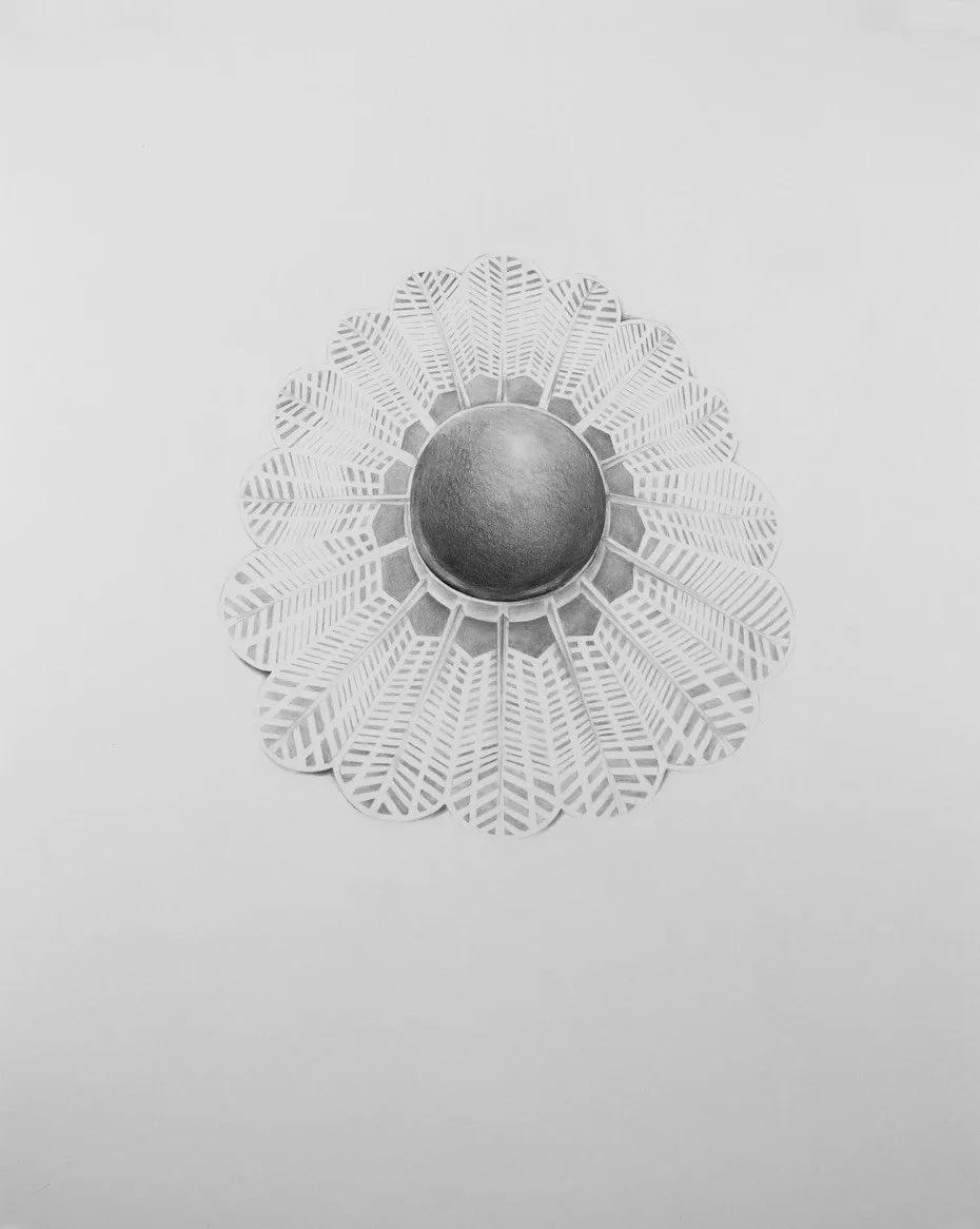 Birdie
2017 | 24"x 19" | Graphite on Bristol.