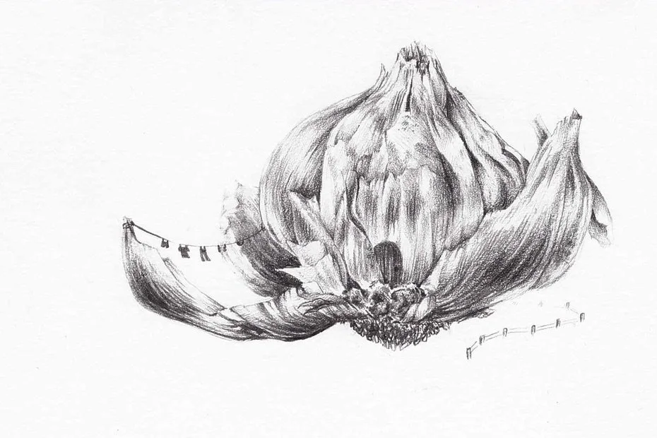 Garlic House
2014 | 4"x 6" | Graphite on bristol.
