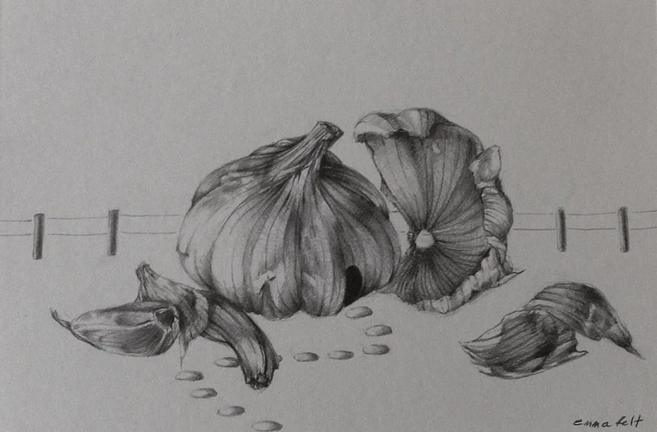 Garlic House 2
2014 | 4"x 6" | Graphite on bristol.