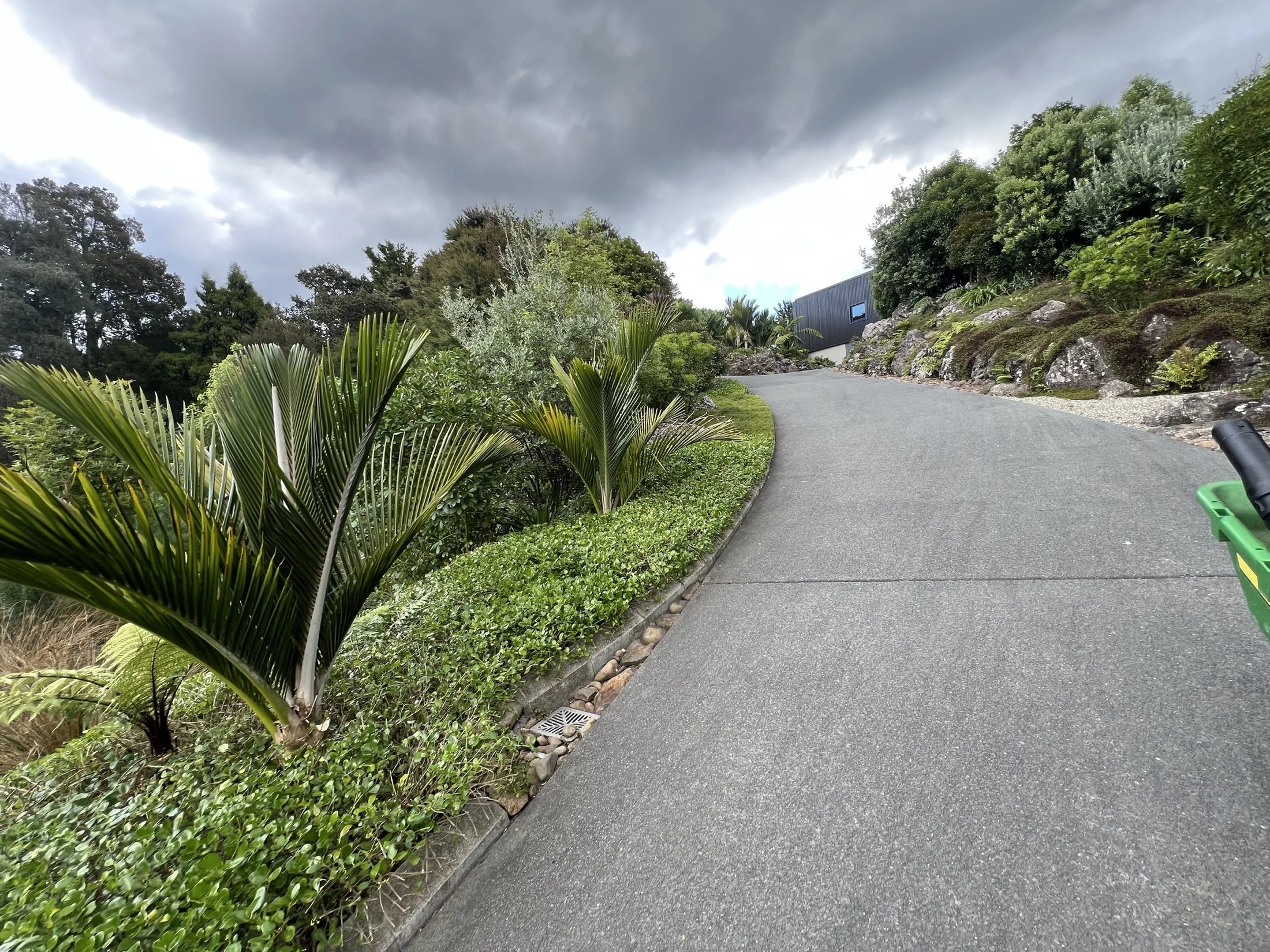Landscaped driveway planting completed by Pacific Roots Landscaping