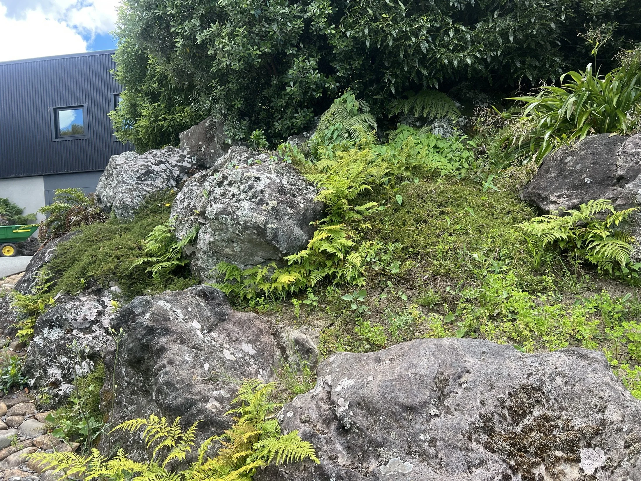 Rock garden landscaping and planting completed by Pacific Roots Landscaping in Auckland