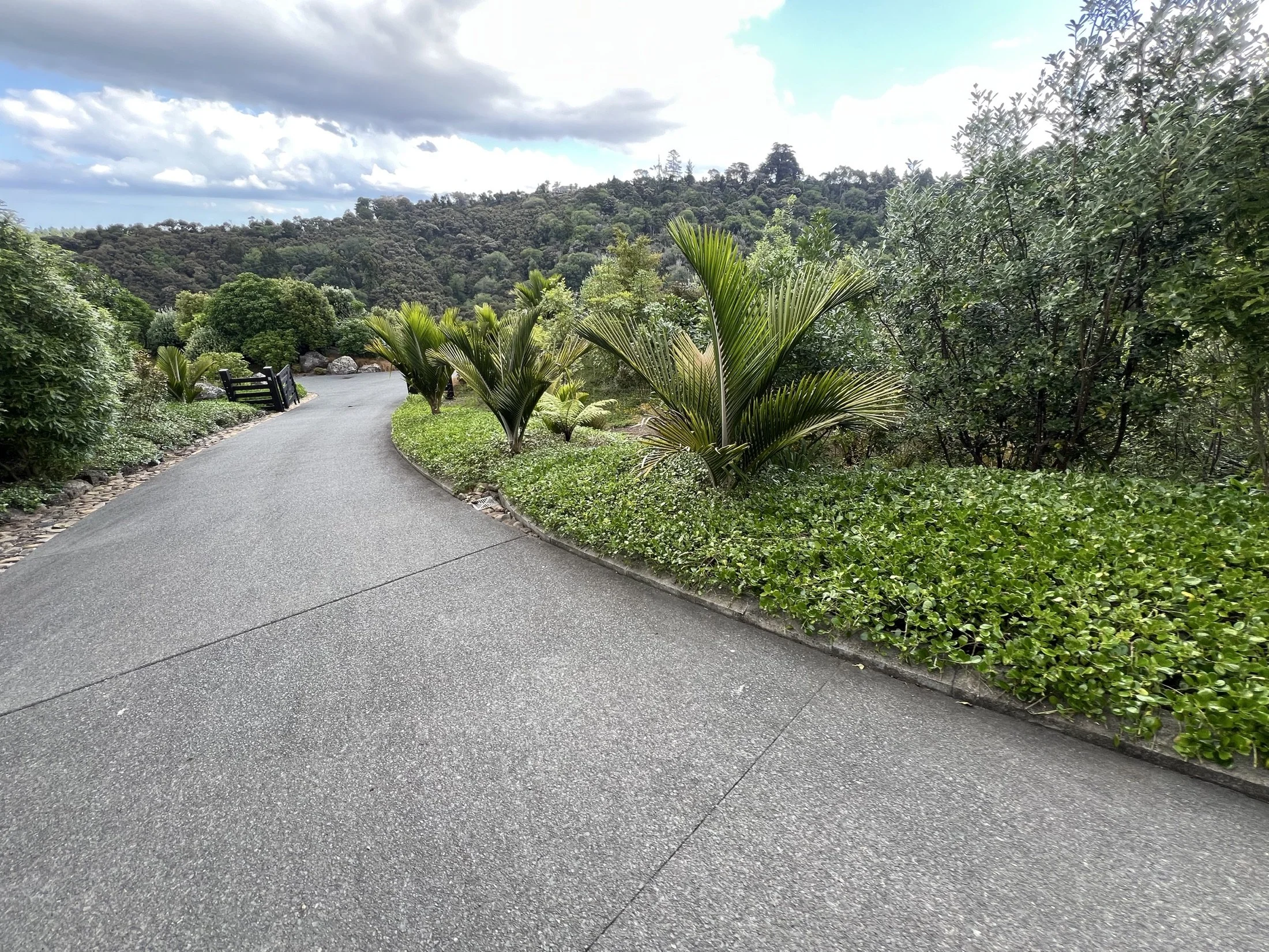 Maintained landscaped driveway and garden by Pacific Roots Landscaping in Auckland