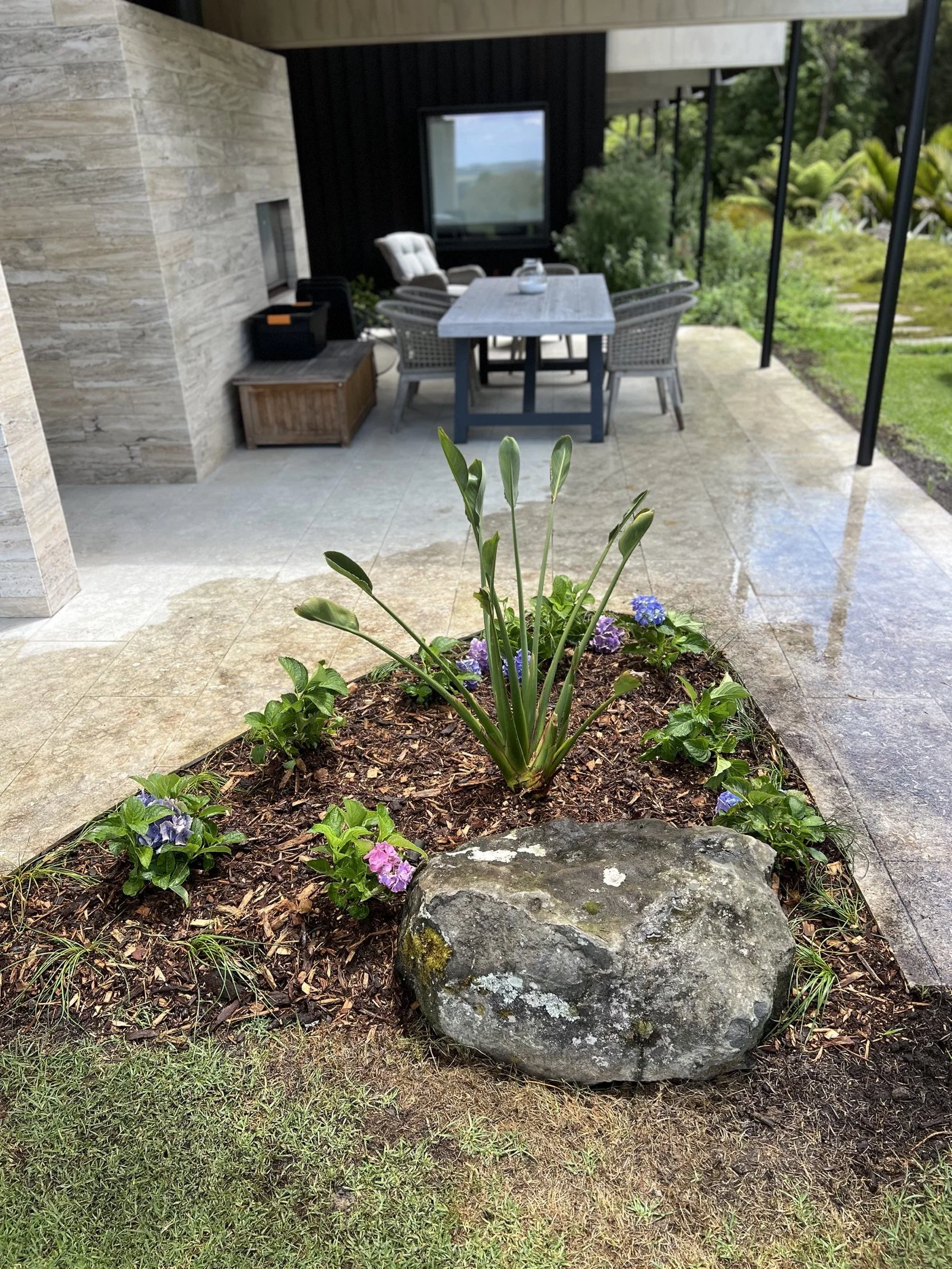 Newly designed and planted garden bed by Pacific Roots Landscaping