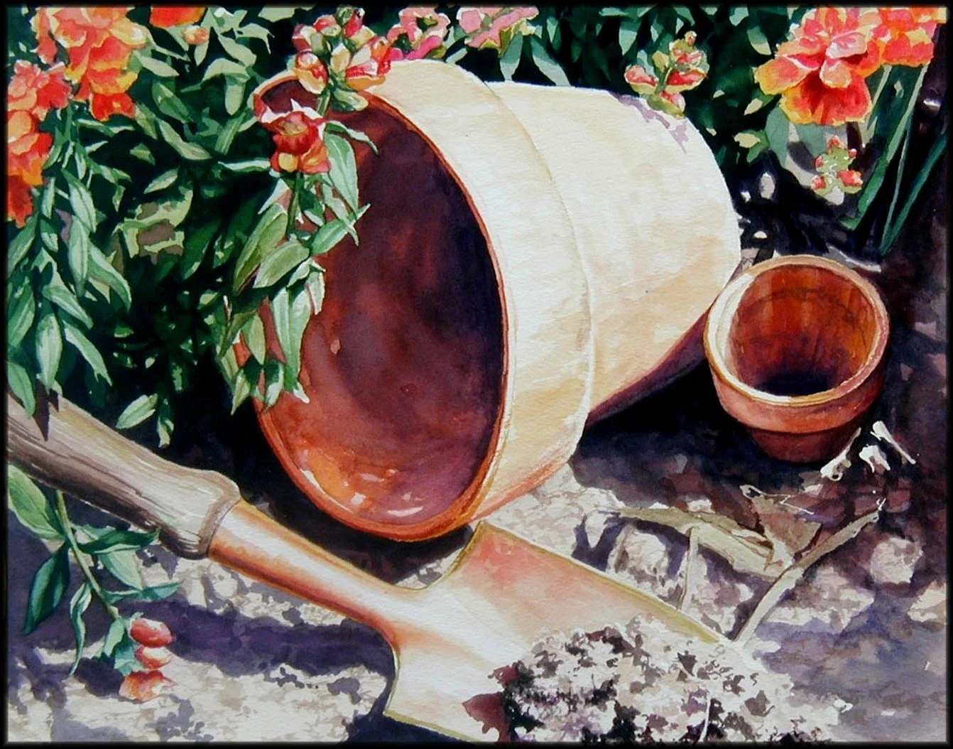 Ready for Planting .jpg