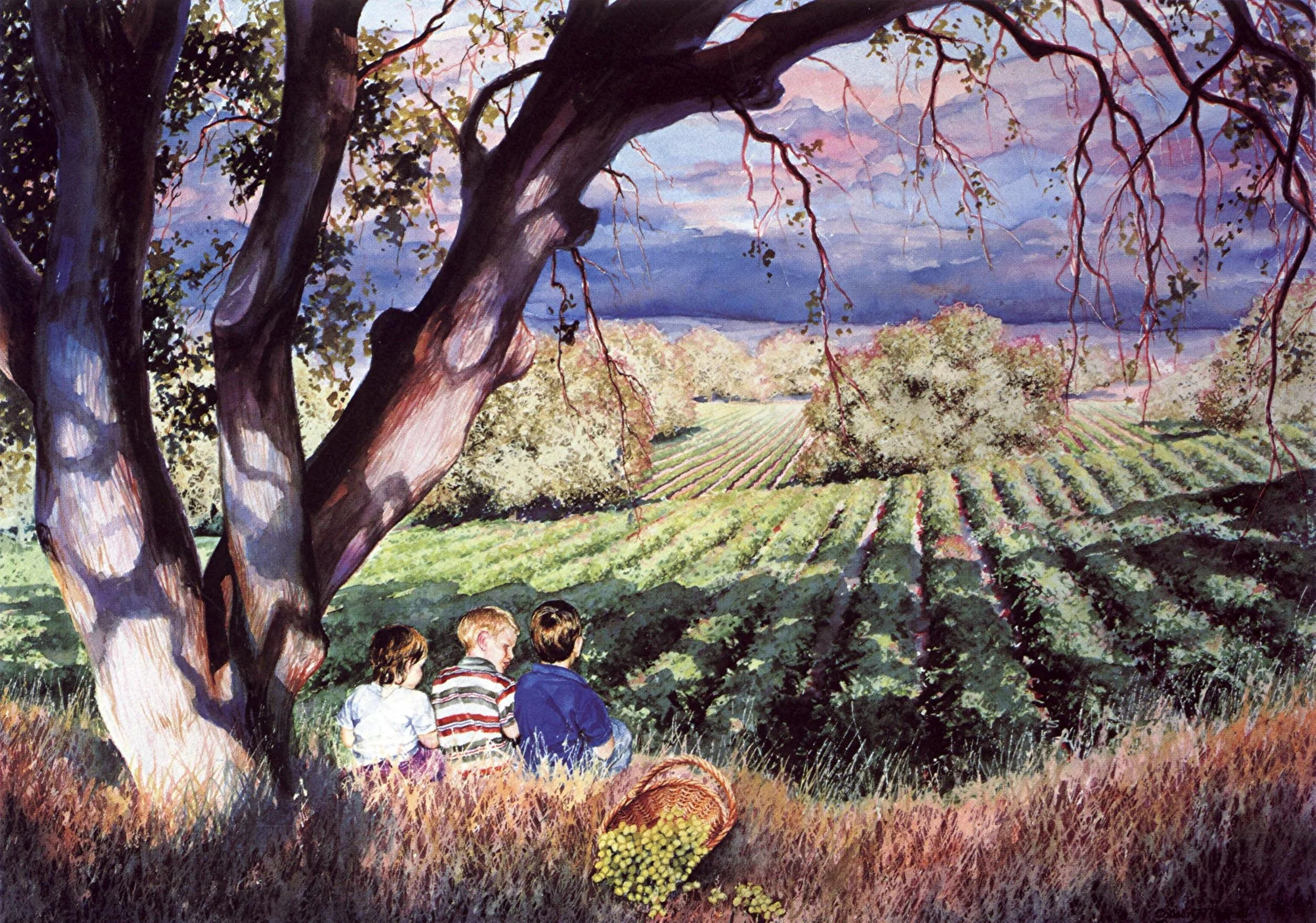 Picnic By the Vineyard.jpg