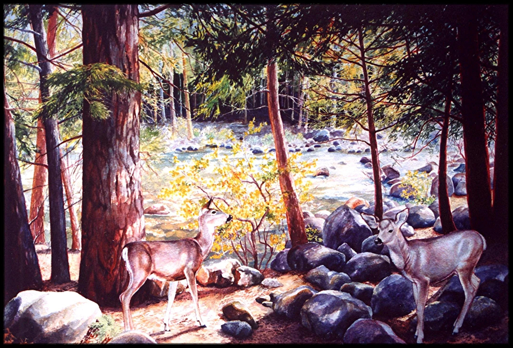 Serenity By the Stream.jpg