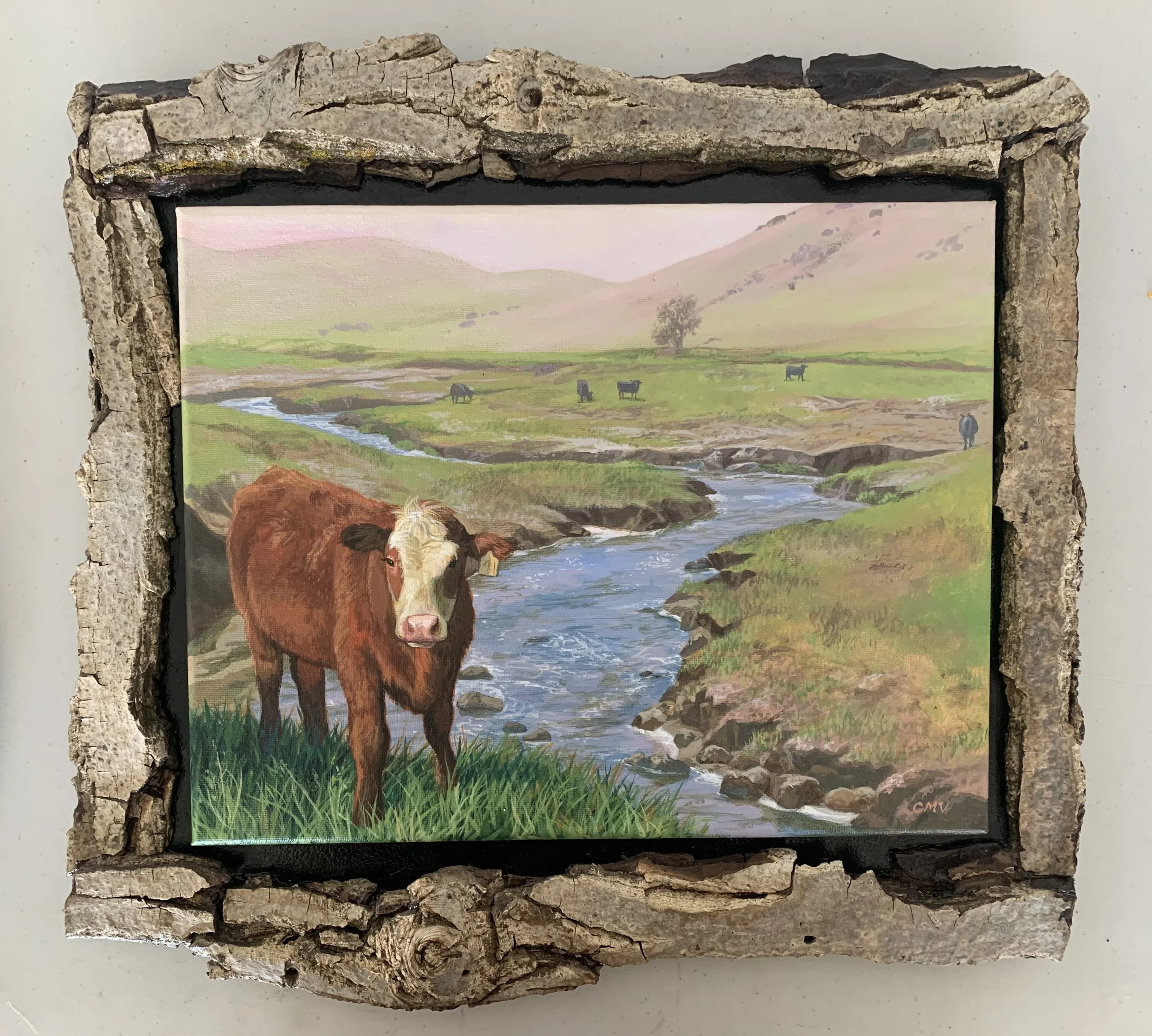 Yokohl Valley mist.jpg