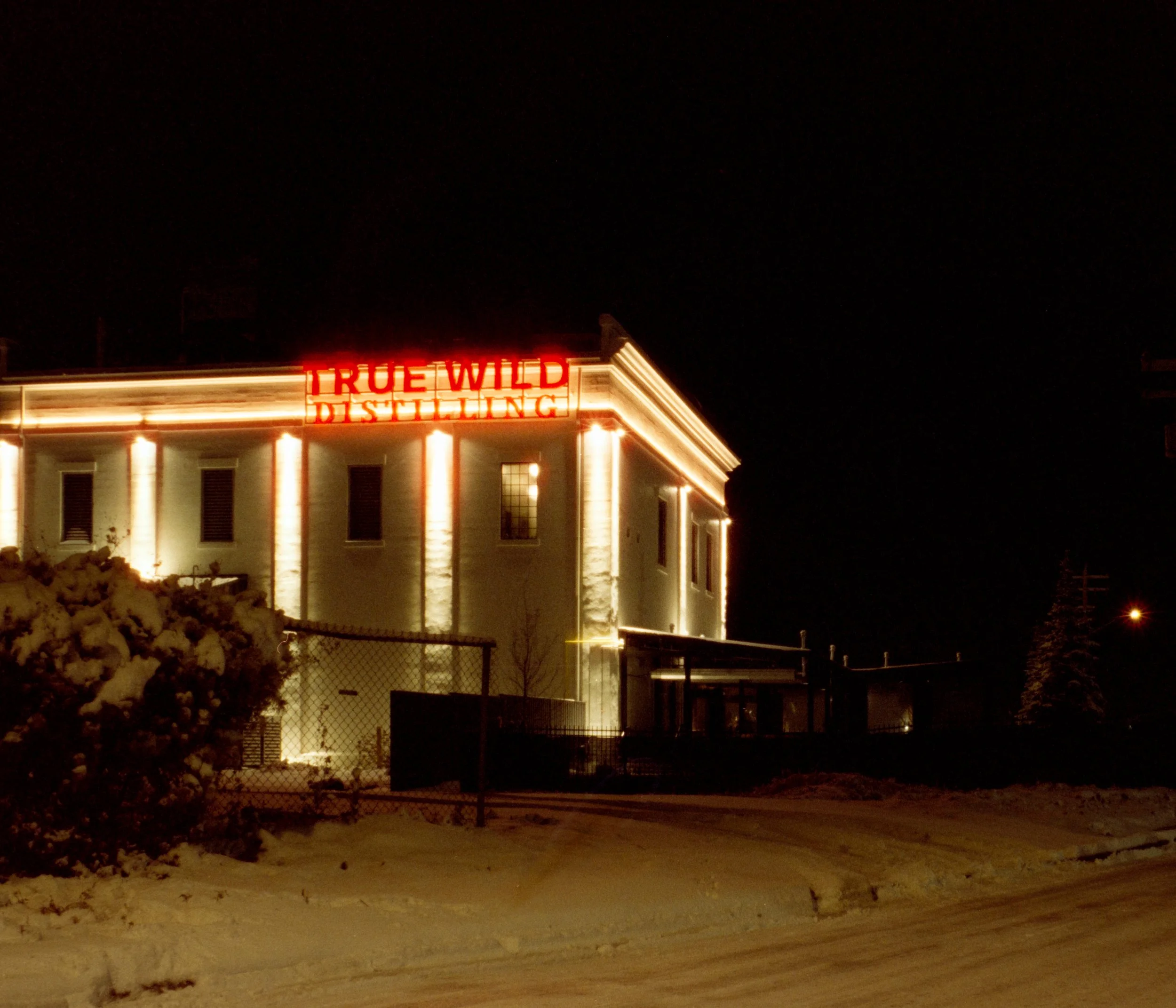 NeatFilmLab_TIF_3631-21.jpg