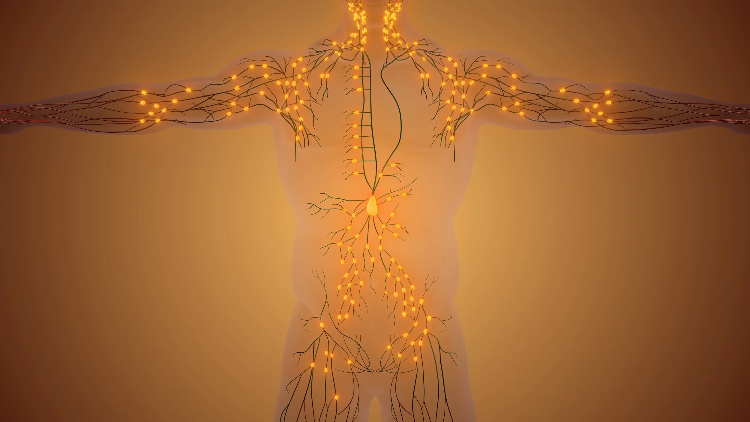 Boost Your Winter Immunity with Manual Lymphatic Drainage