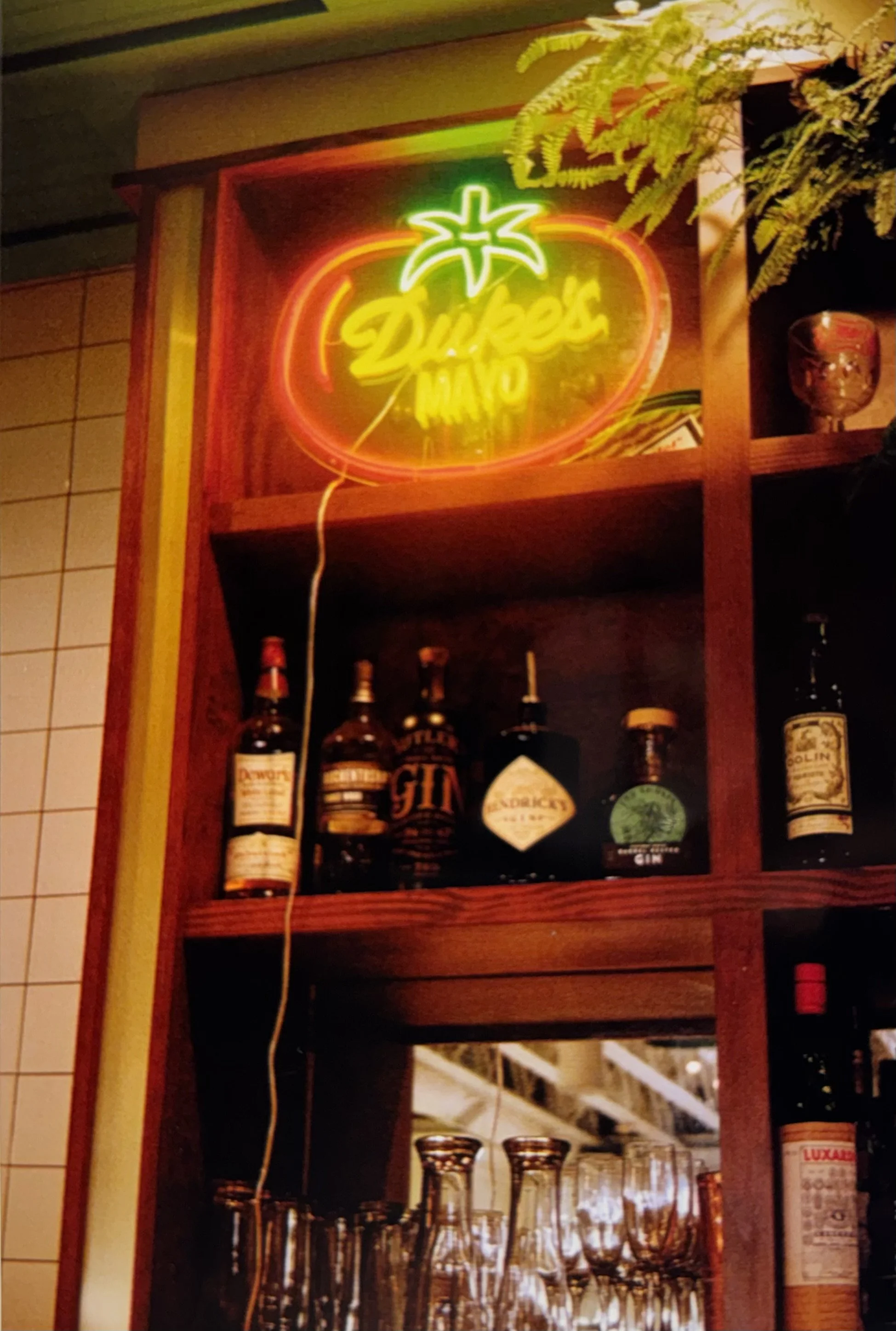 FullSizeRender (15).jpeg