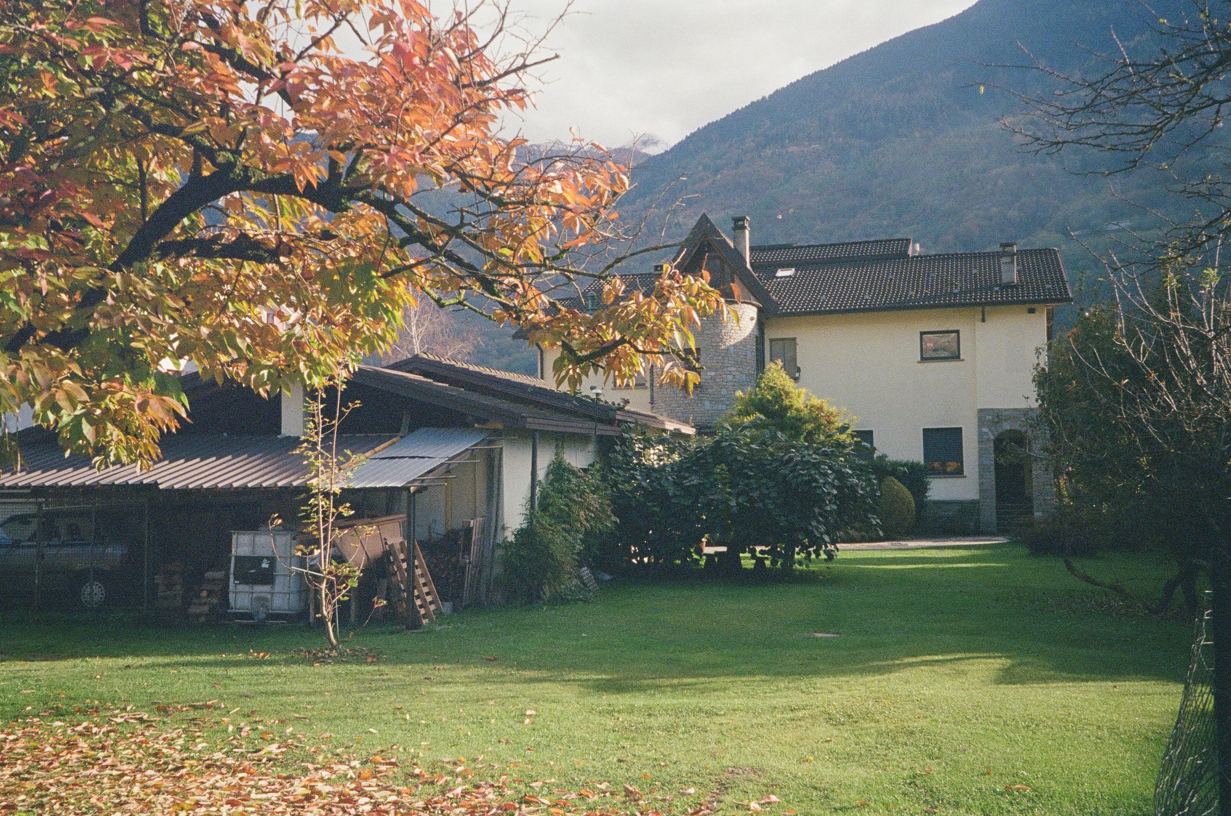 IMG_6486.JPG