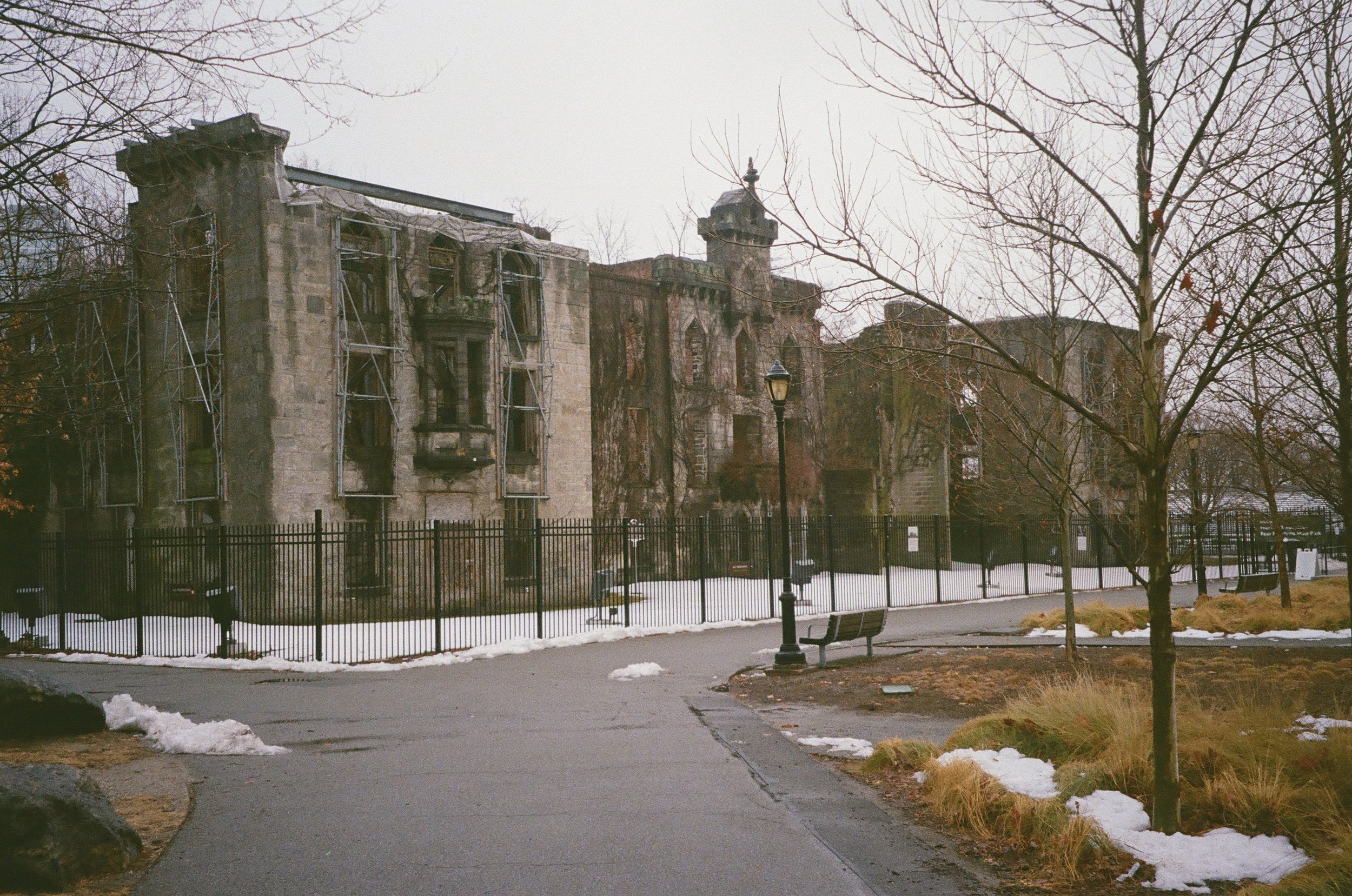 IMG_6548.JPG