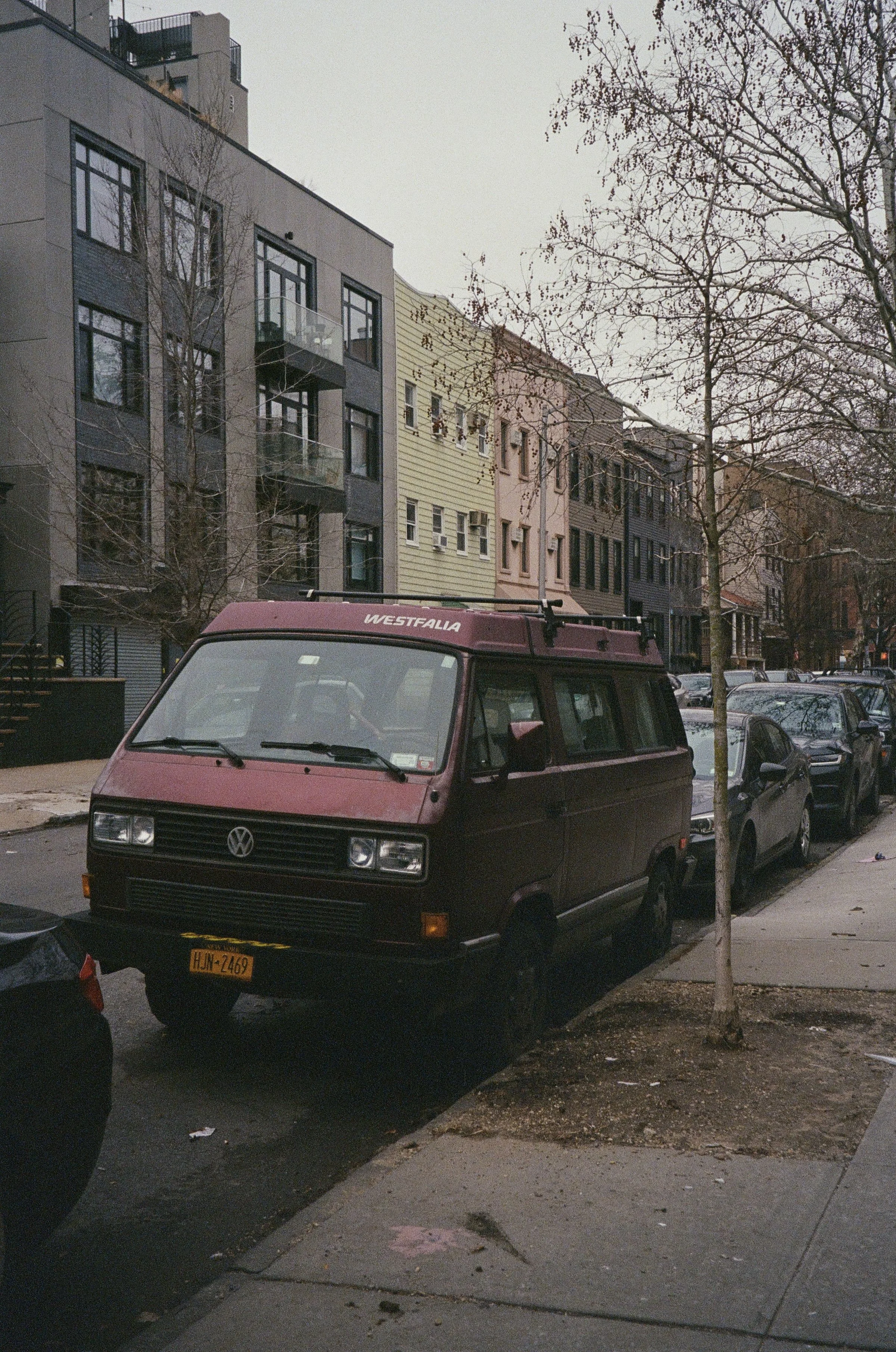 IMG_6449.jpg