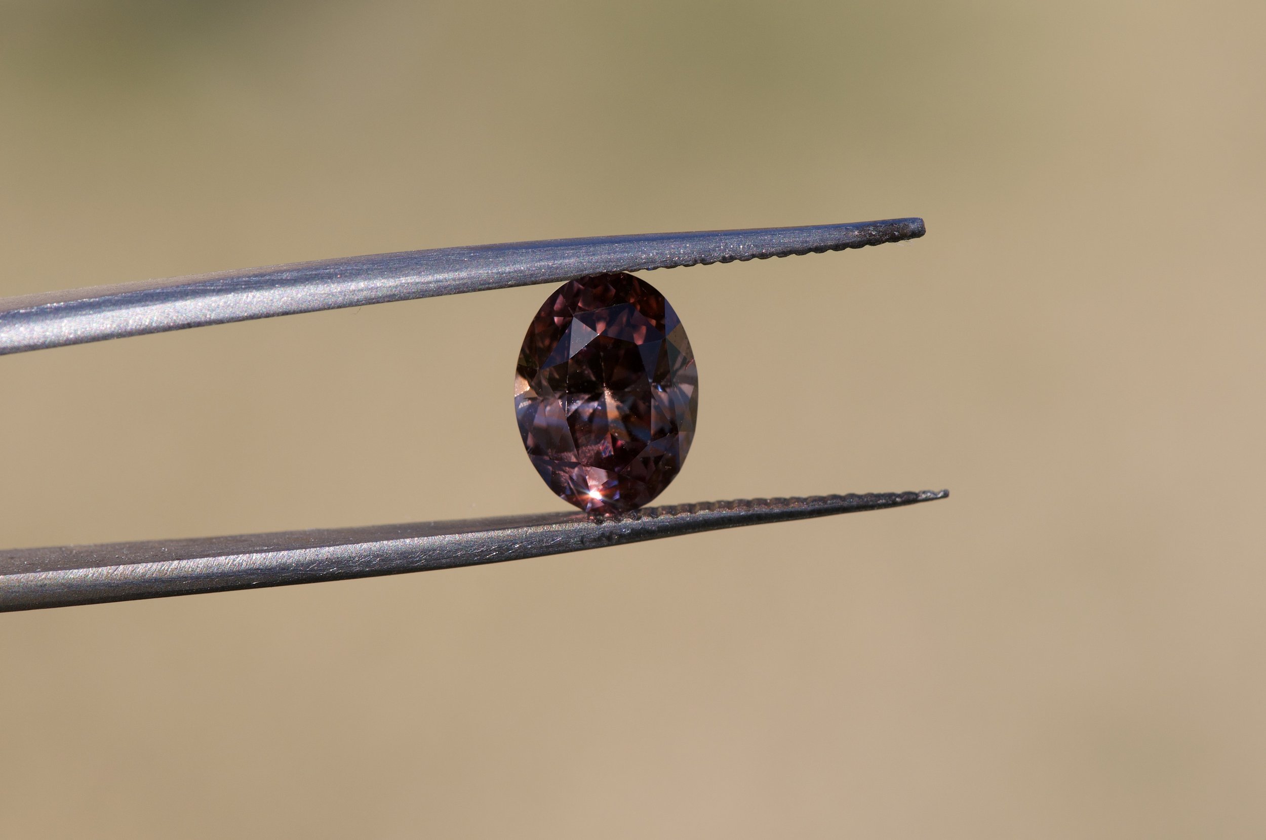 DSC_0330.jpg