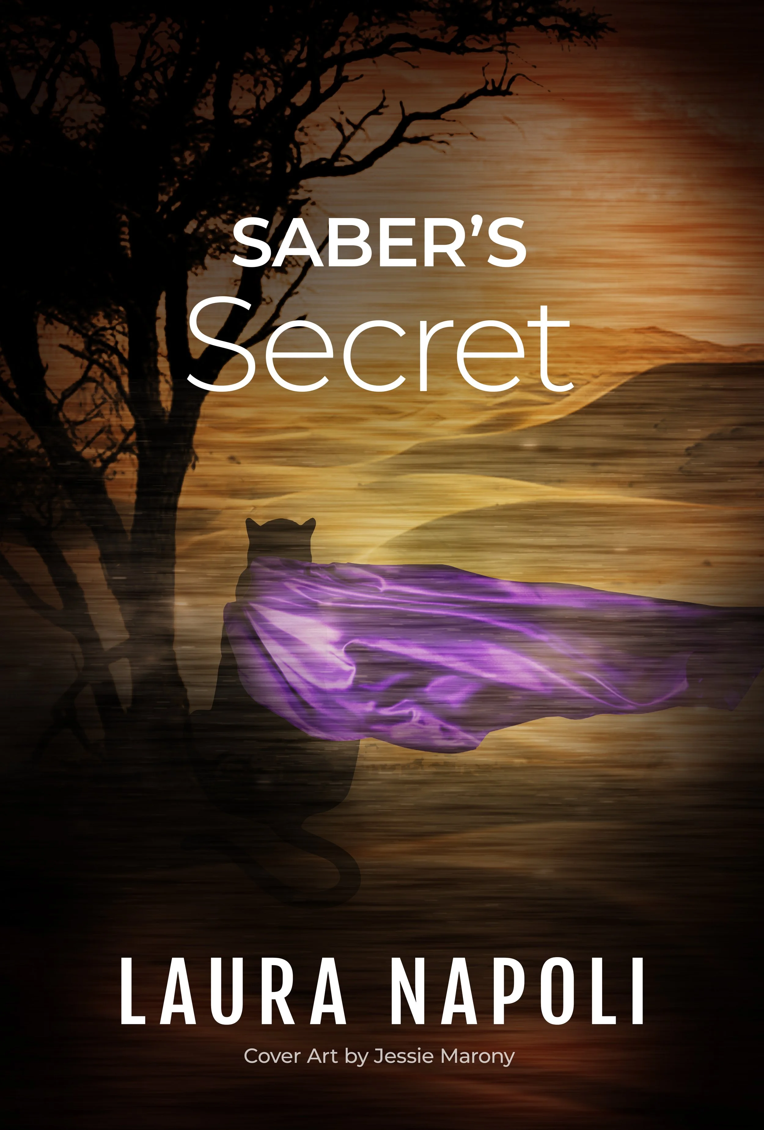 Saber's Secret (Paperback)
