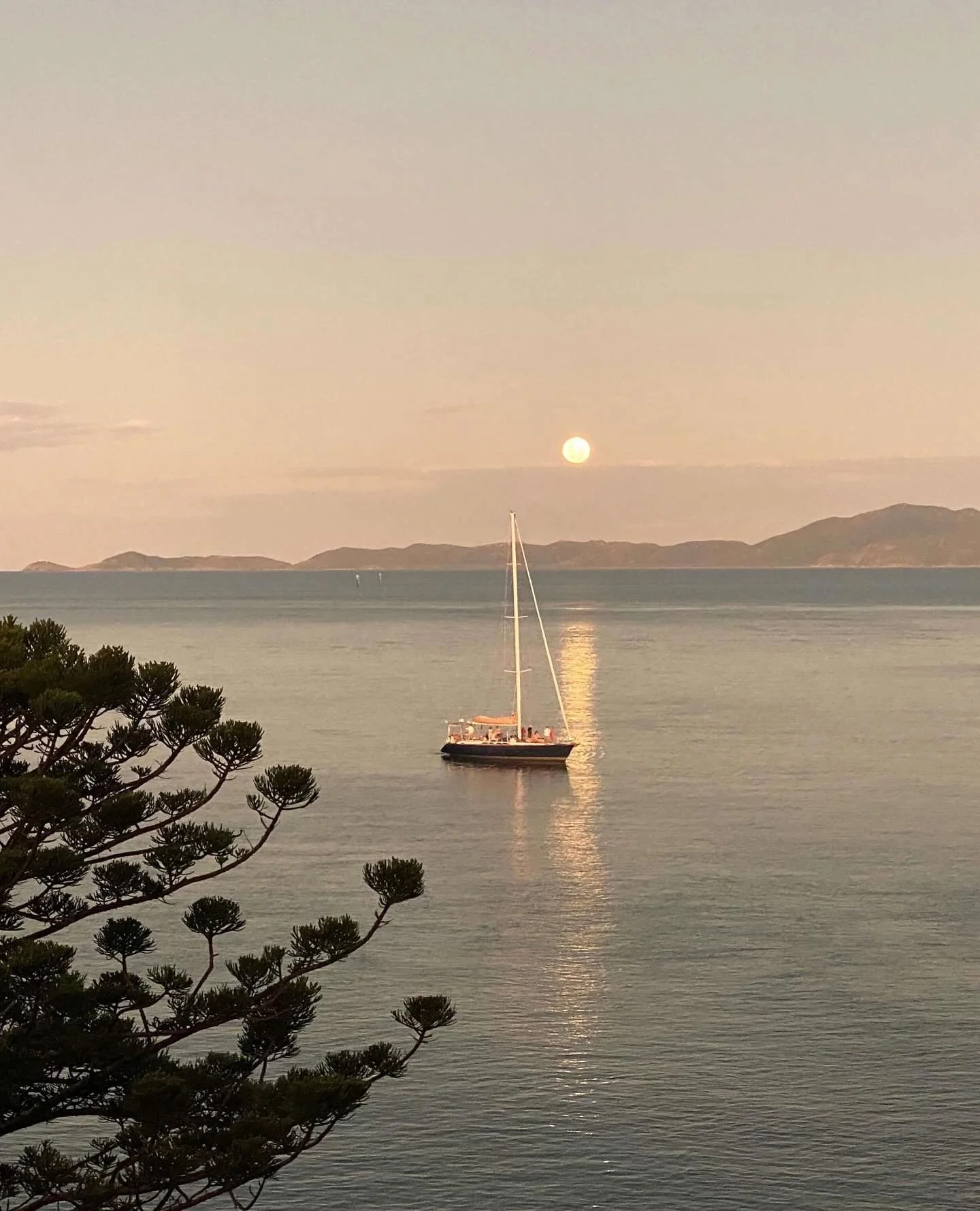 The biggest moon of the year — from the best seat in the bay.
Sunset. Sailing. Super Moon. 
Two nights only — Nov 5 and Dec 5. See it rise over the sea aboard Pilgrim. (See Link in Bio)
#PilgrimSailing #SuperMoon #MagneticIsland