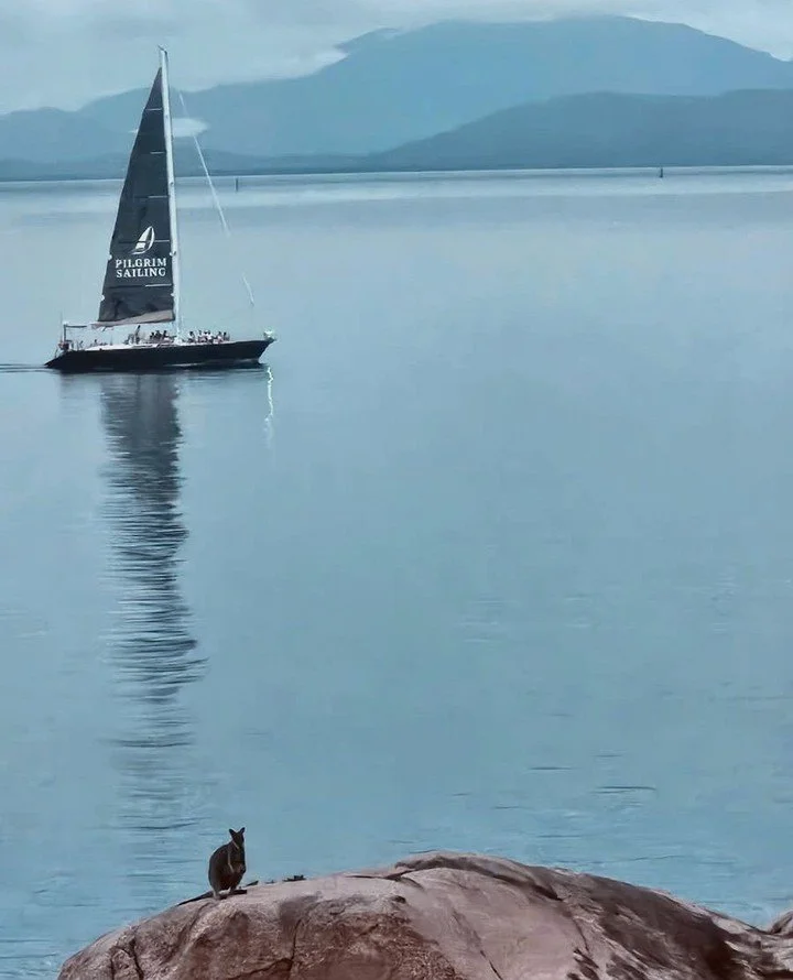 We love being part of everyday life on the island!⁠
⁠
If you&rsquo;ve spotted Pilgrim gliding through the bay &mdash; tag us #hellopilgrim 👋 ⁠
⁠
⁠
📸: @granitemagneticisland⁠
#pilgrimmagneticisland #pilgrimsailing #thisismagneticisland ⁠
#magneticis
