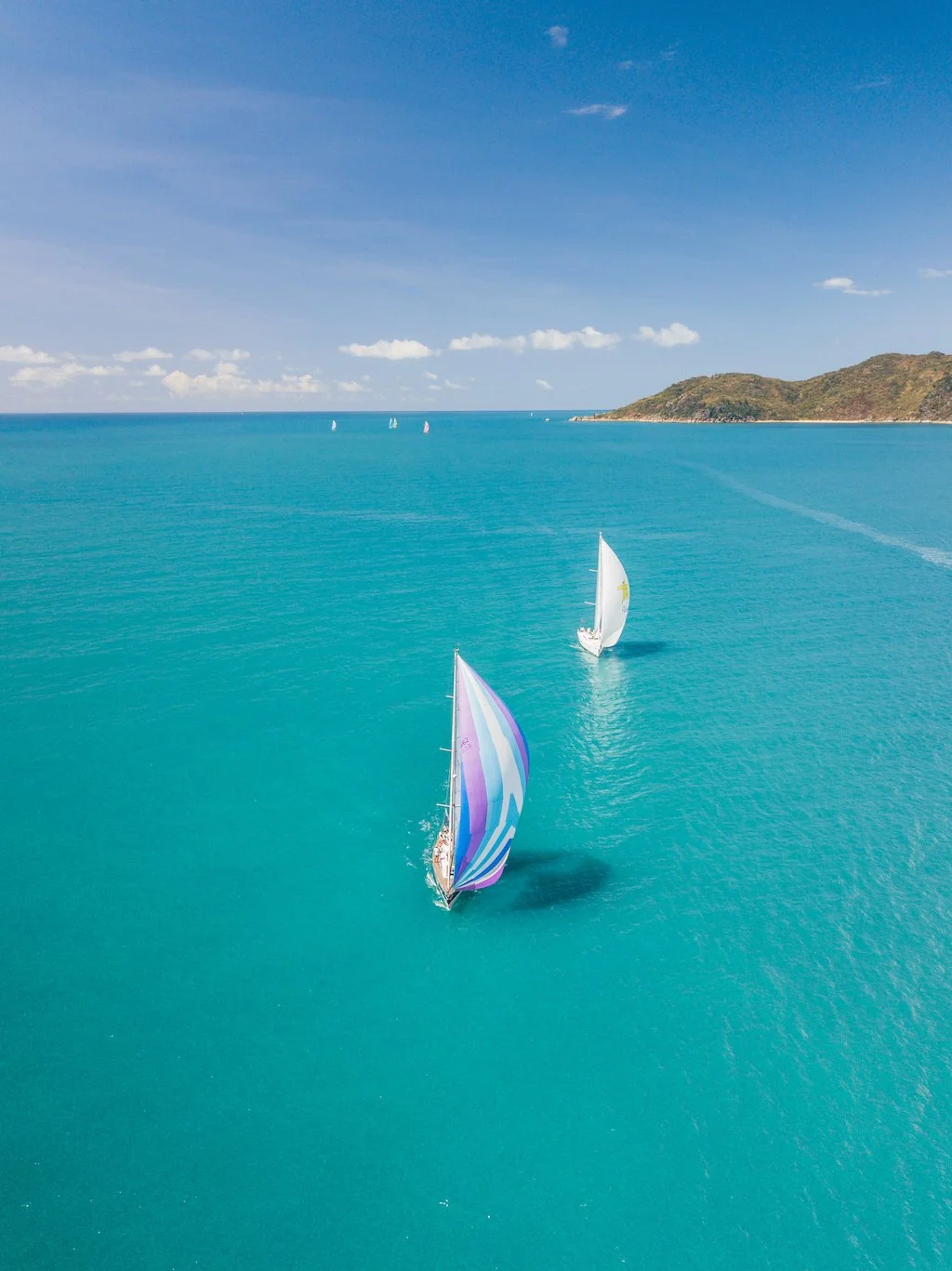 Shore Crew Sailing Escape