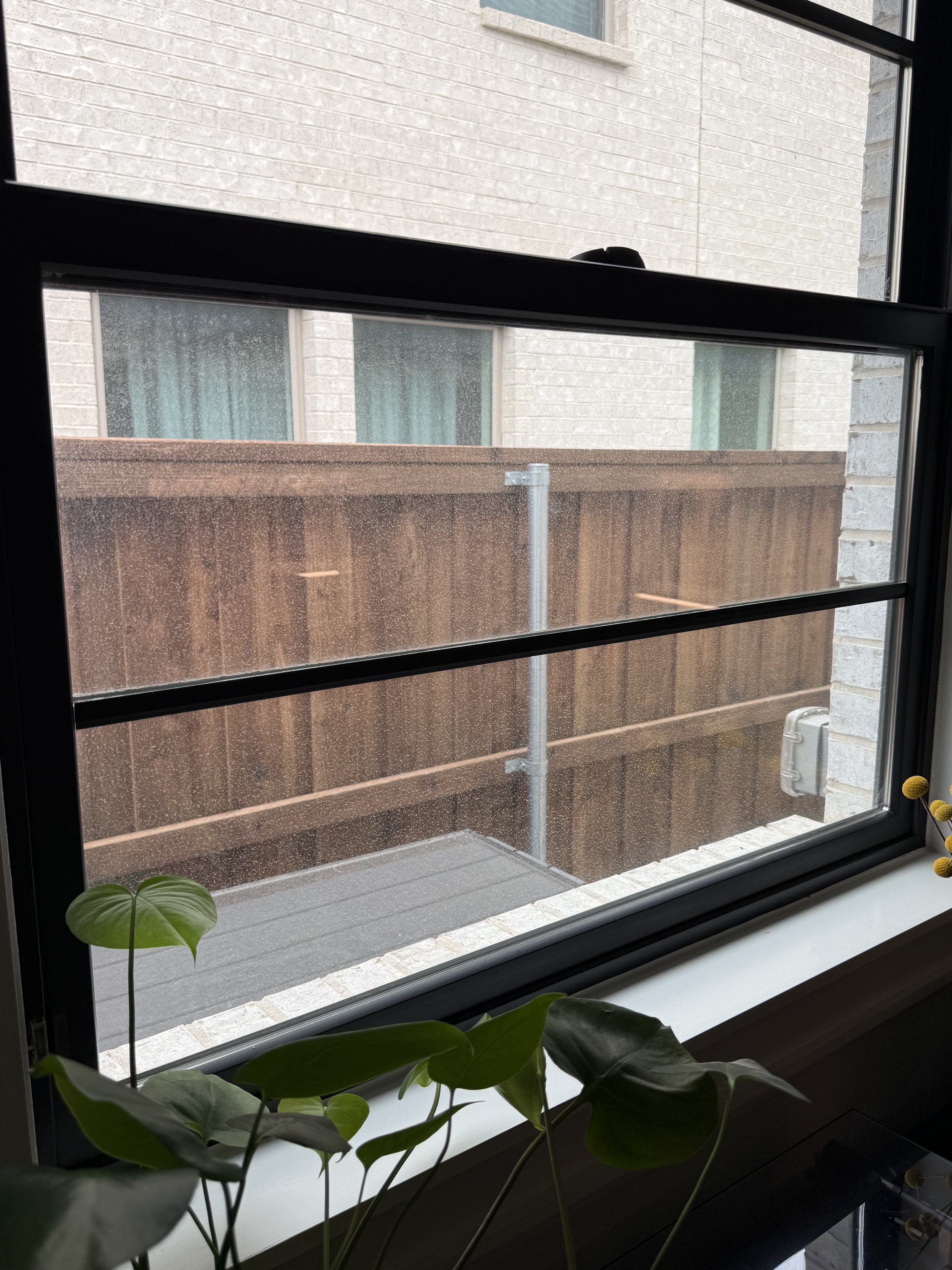 IMG_4027.jpeg