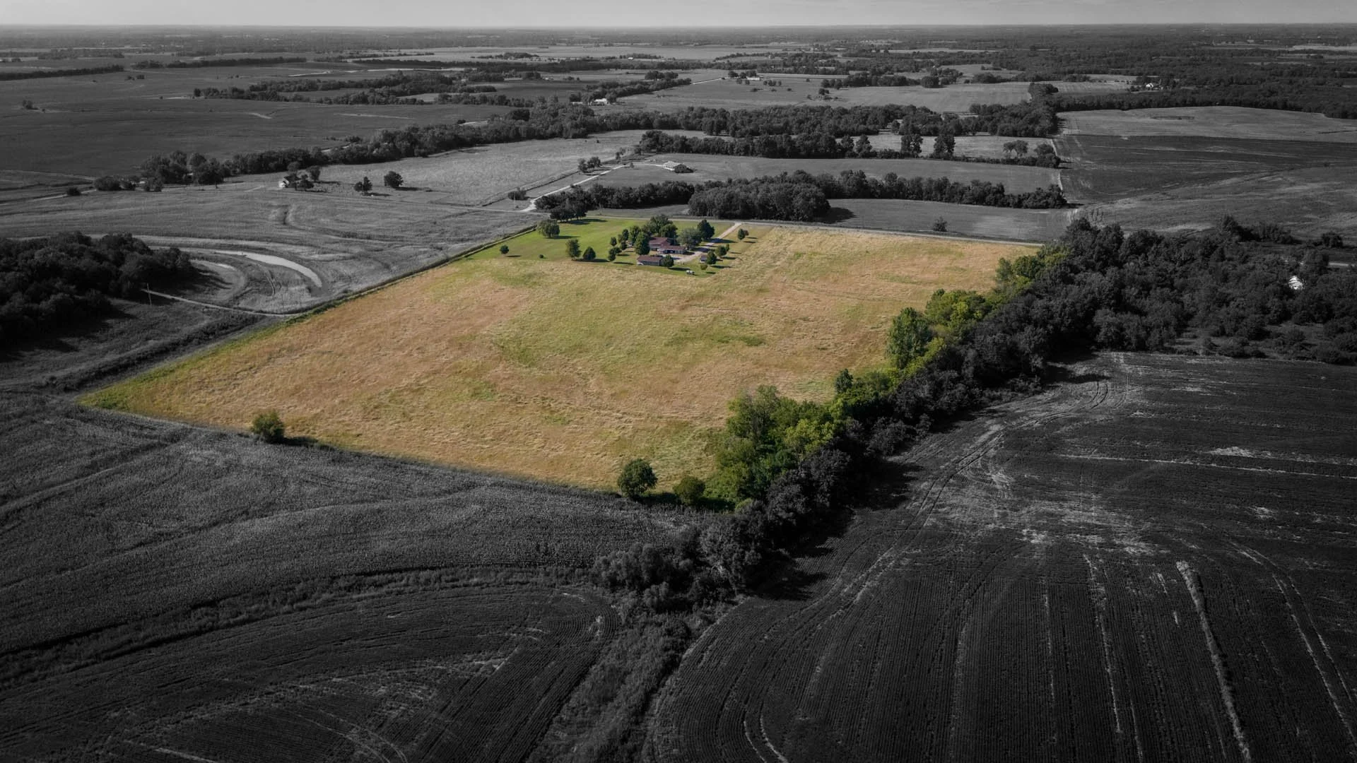 Back Right Whole Propterty.jpg