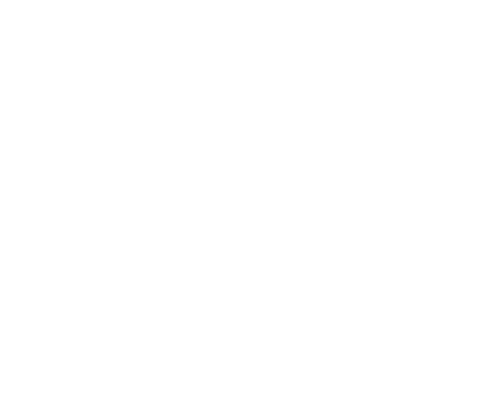 Next Level Performance